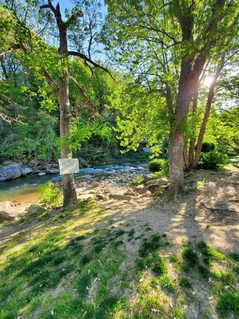 River view in Geneva Hotel & Tiki Bar
