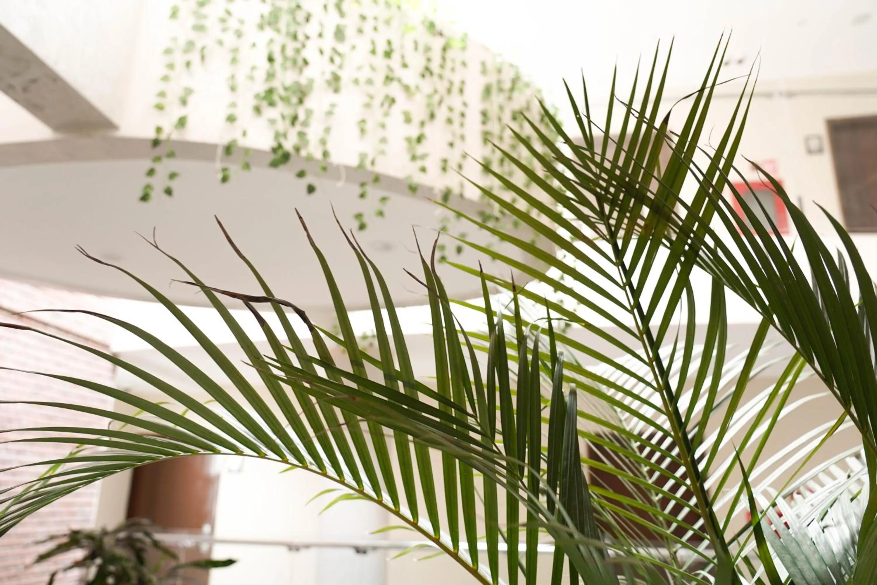 Decorative detail in Chairu Eco Hotel