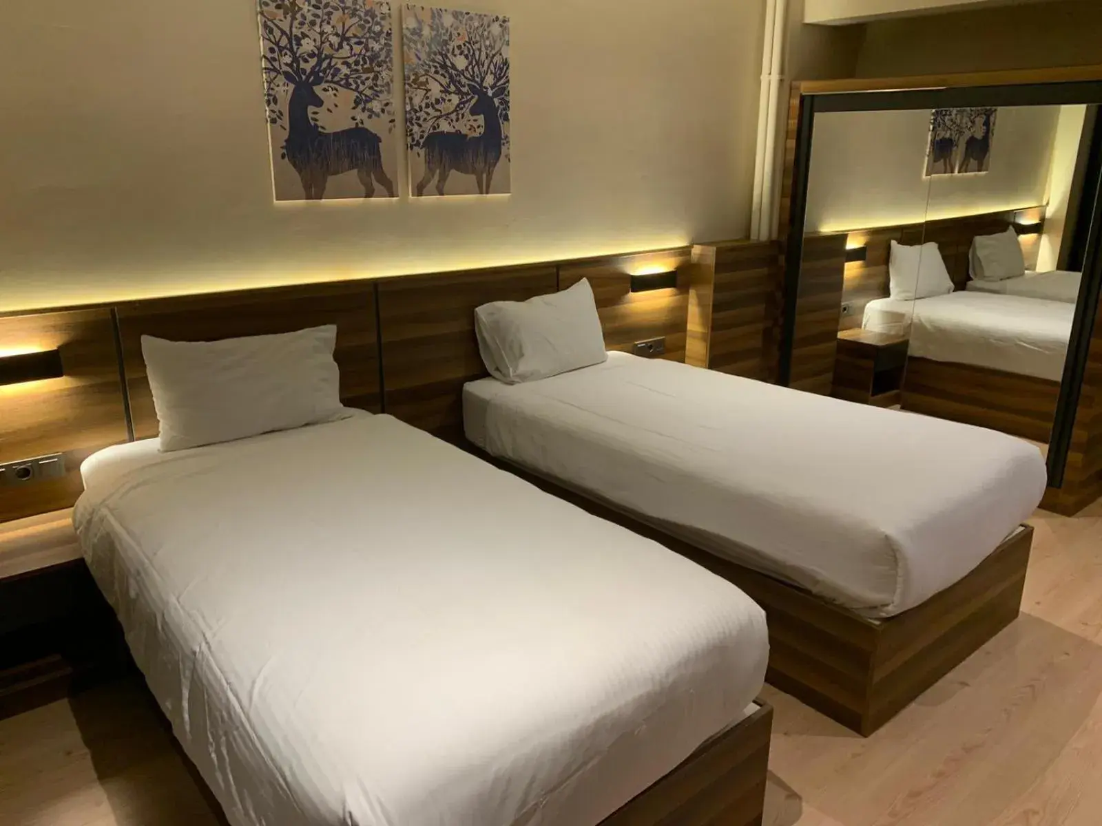 Budget Twin Room in Bolu Evim Otel Budget Twin Room in Bolu Evim Otel