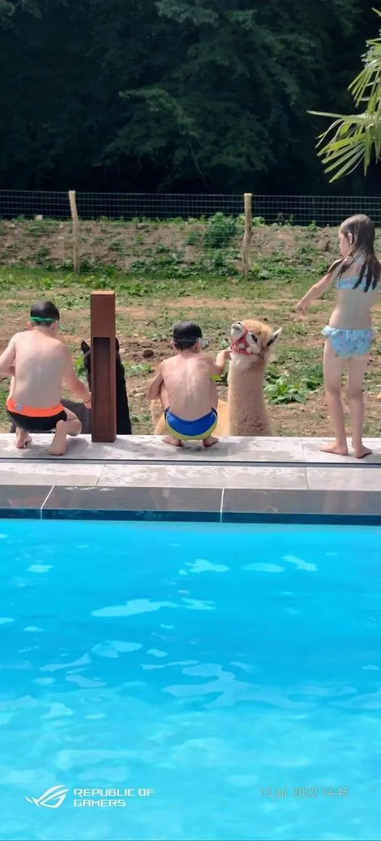 Swimming pool in B&B De l'Aisne