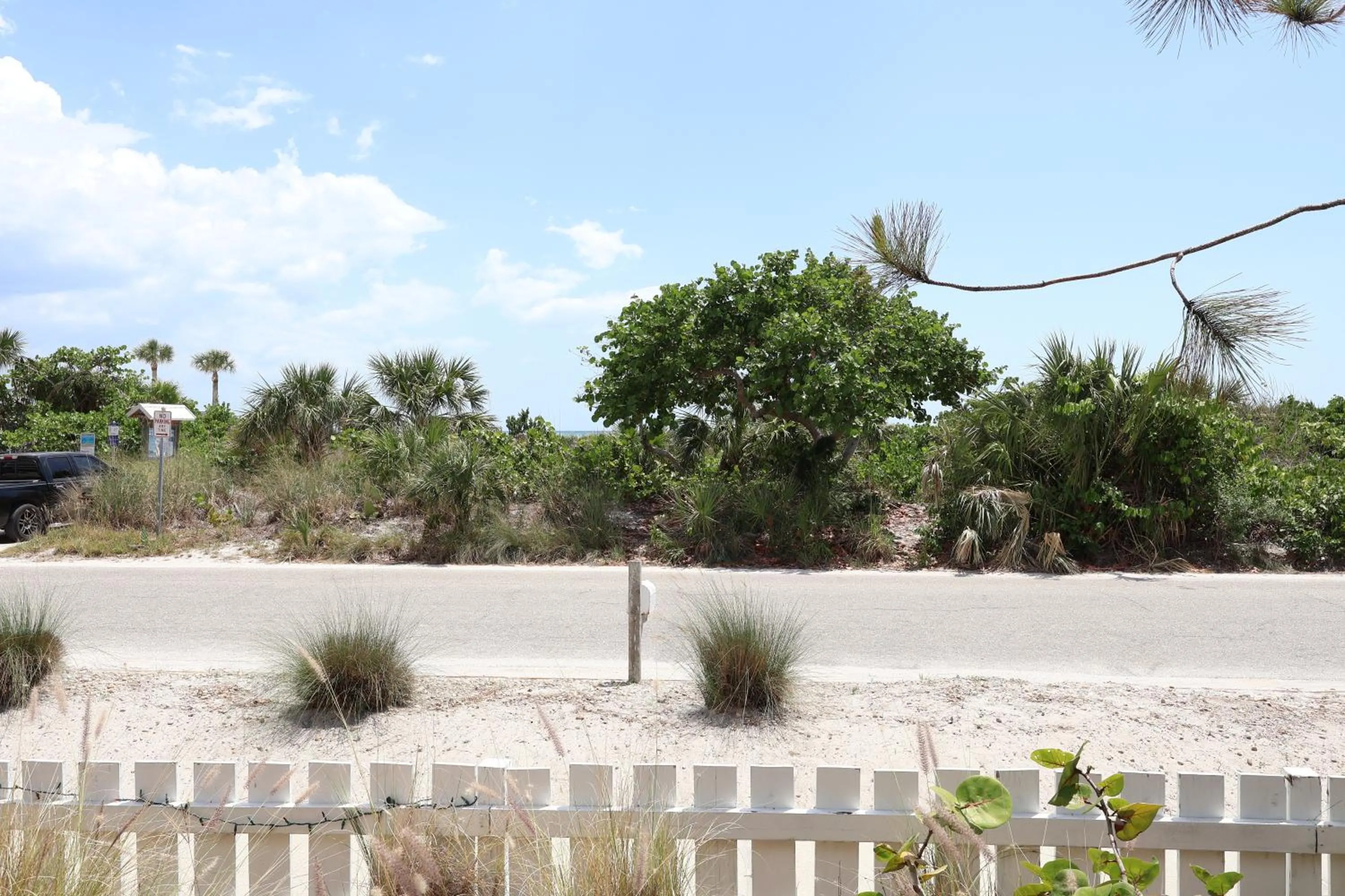 Natural landscape in Siesta Key Island Rentals