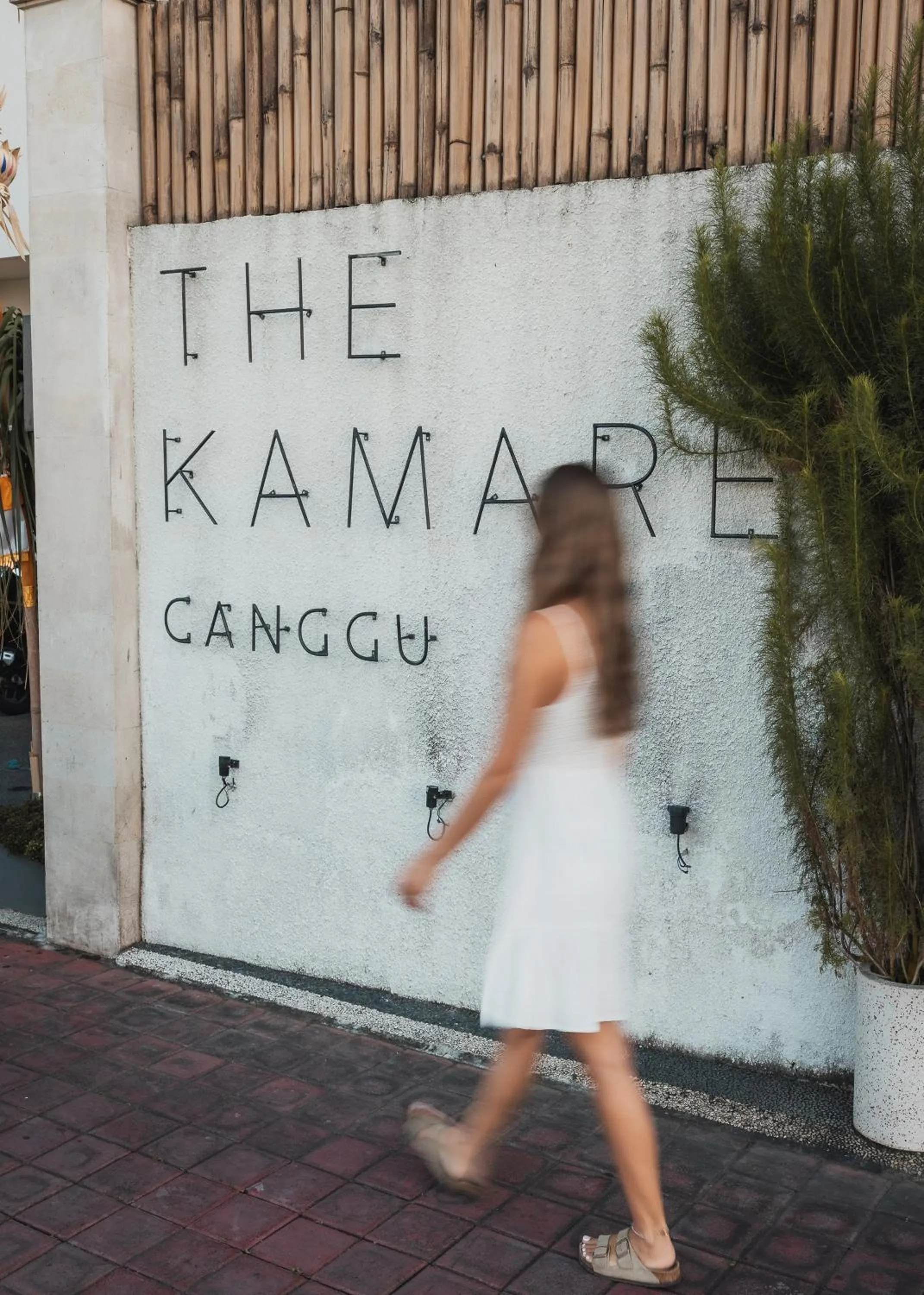 group of guests in The Kamare