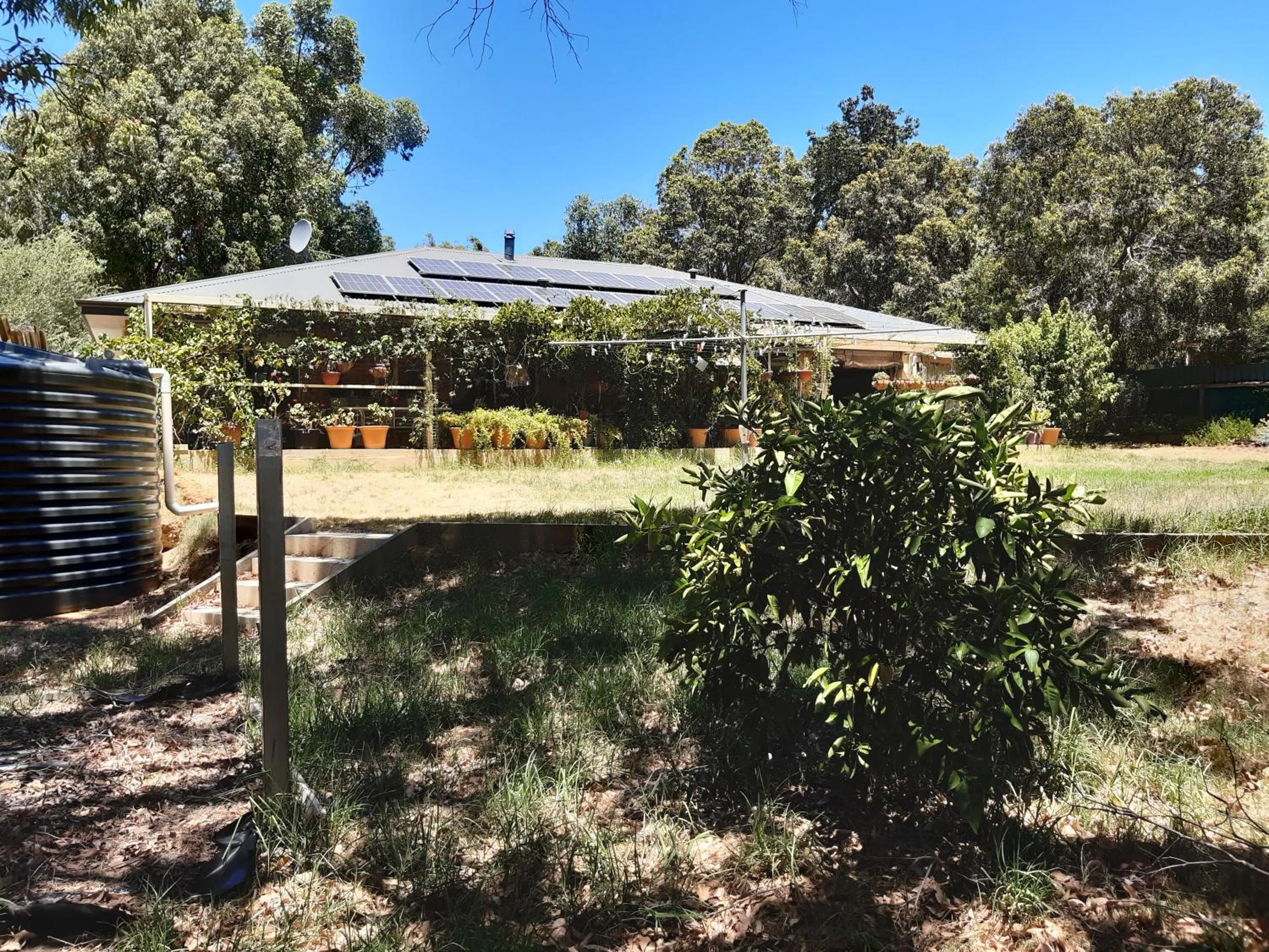 Garden in Mundaring Bed and Breakfast