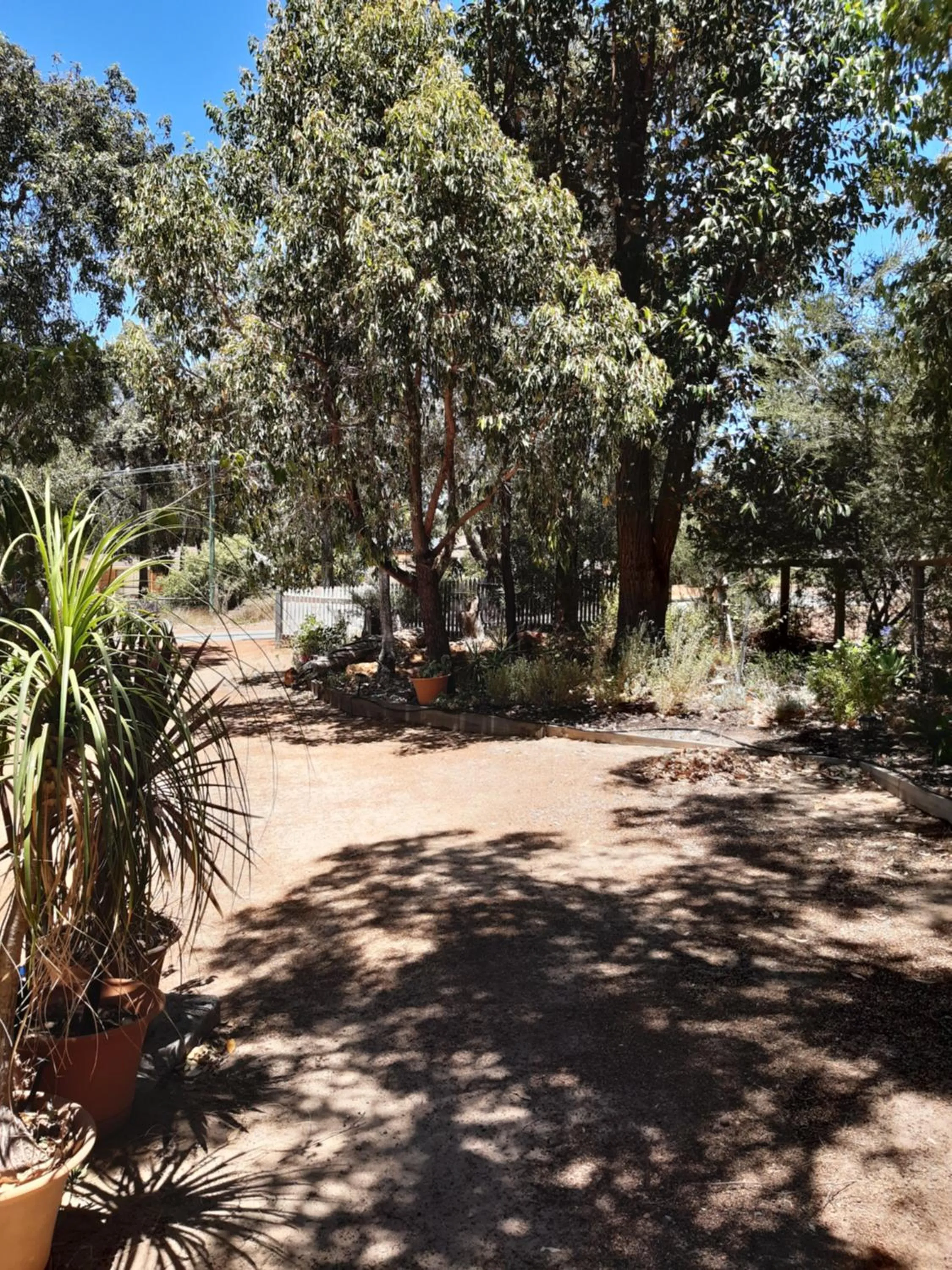 Garden in Mundaring Bed and Breakfast
