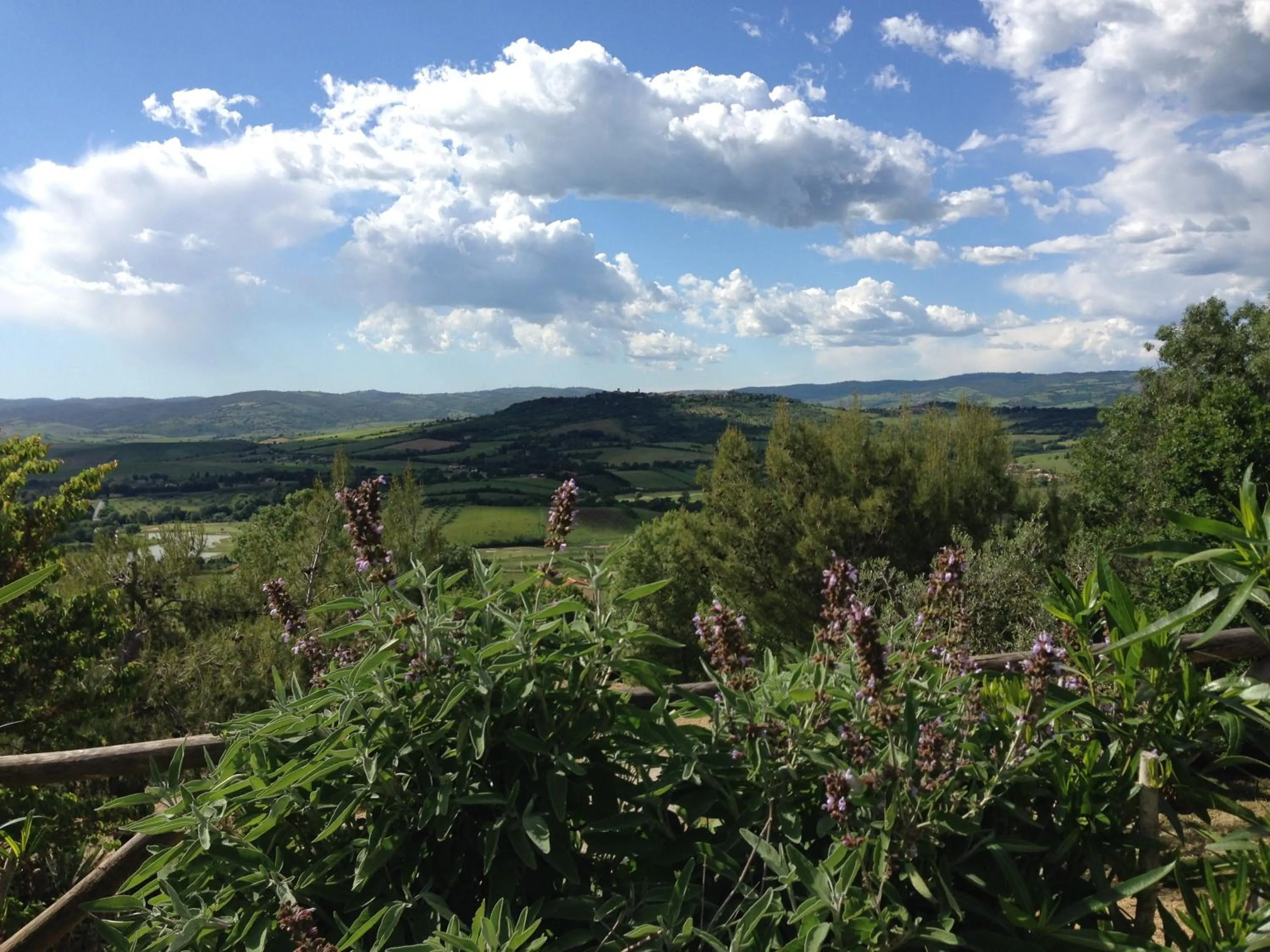 View (from property/room) in Le Querciolaie Monte Cavallo - upper apartment