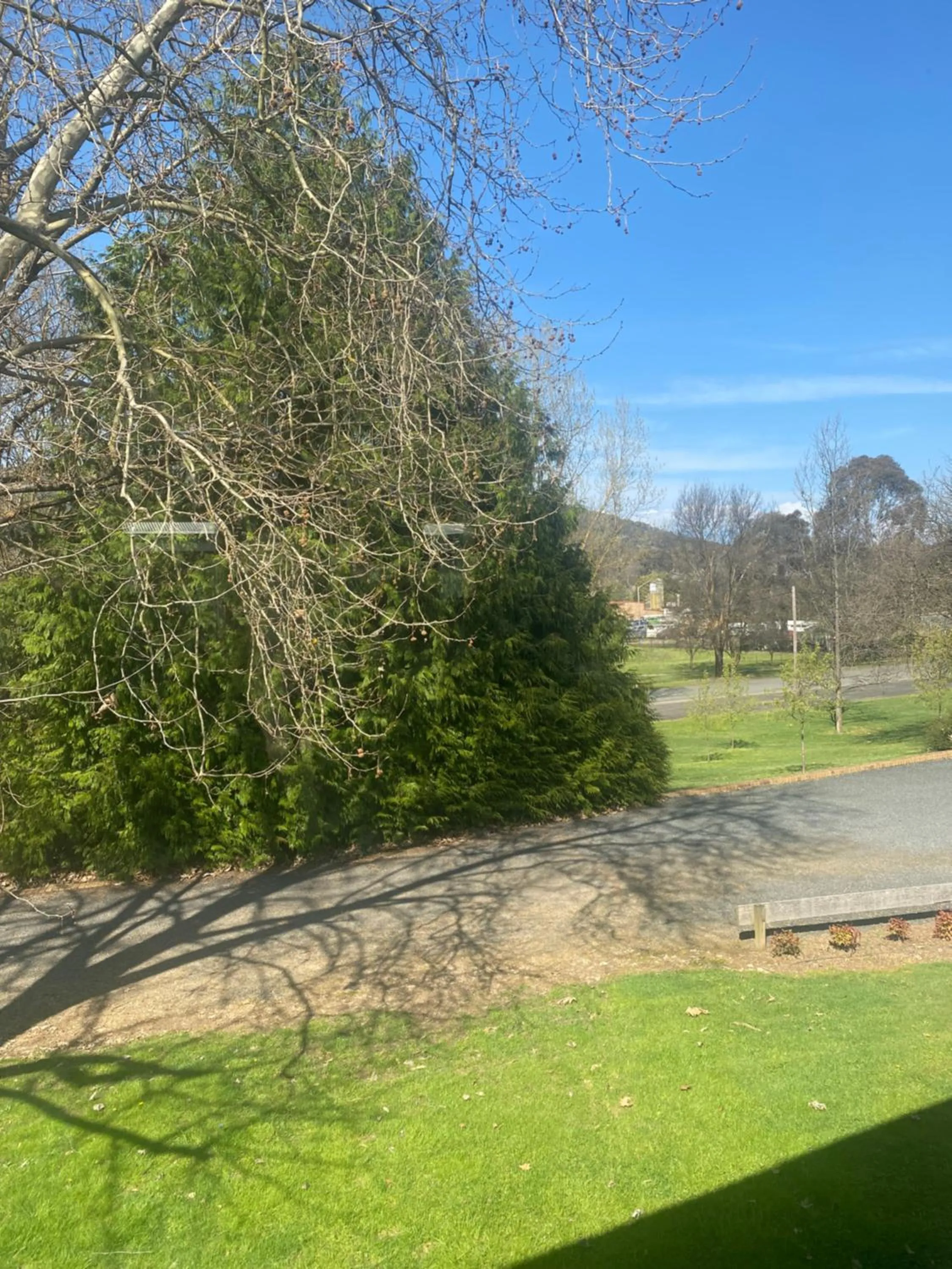 View (from property/room) in Tumbarumba Motel & Elms Restaurant