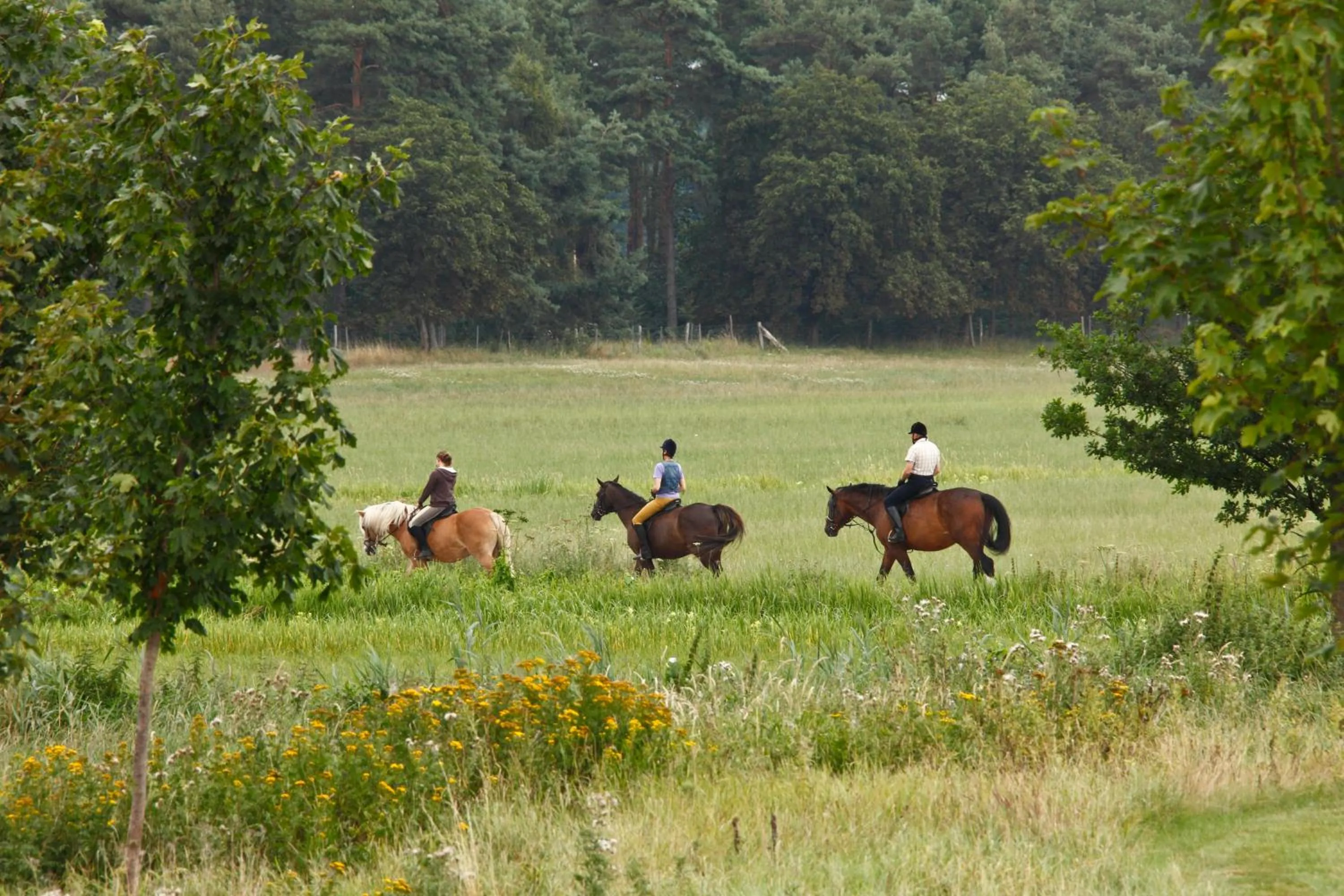 Horse-riding in BEECH Resort Fleesensee