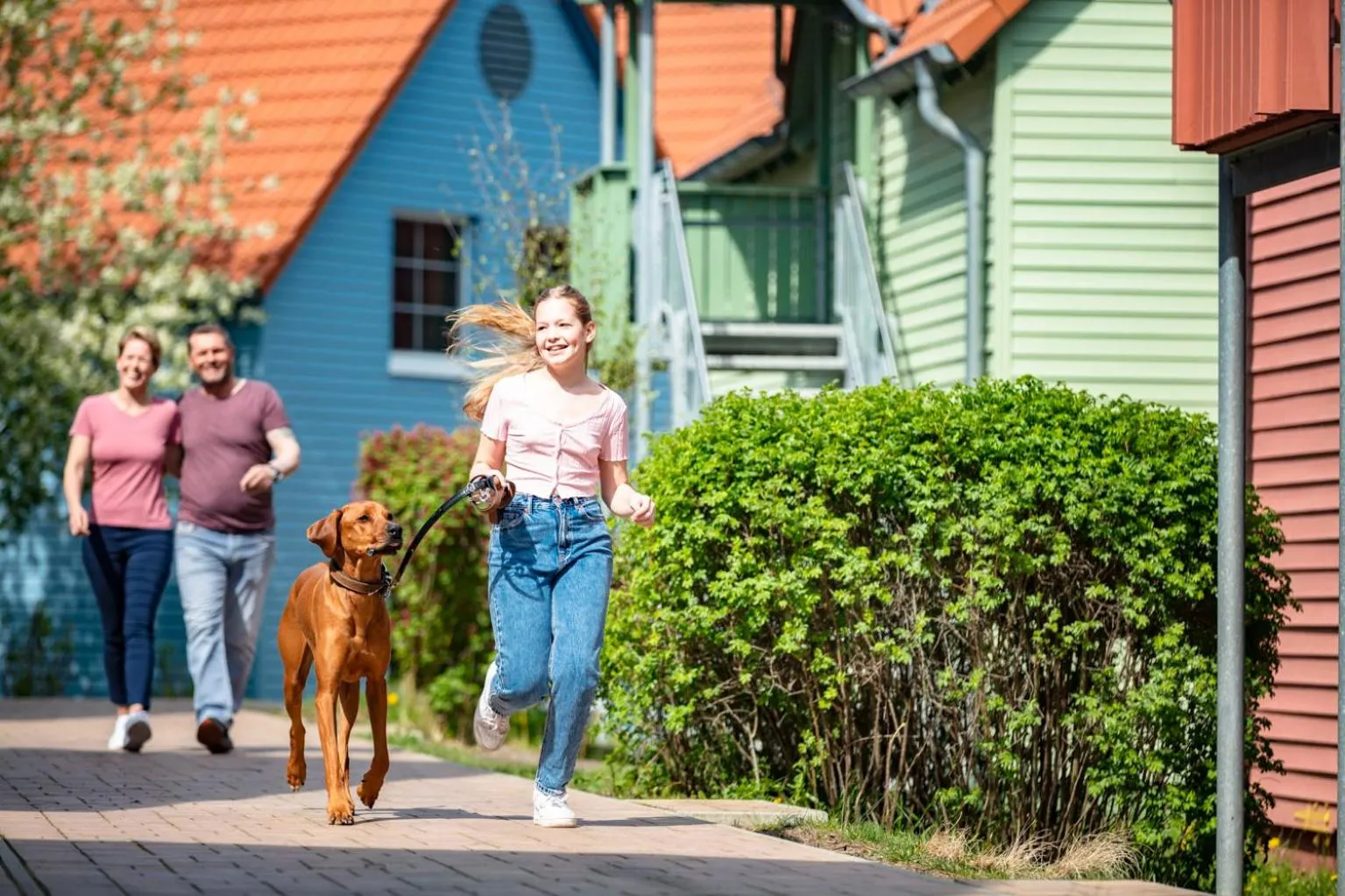 Pets in BEECH Resort Fleesensee