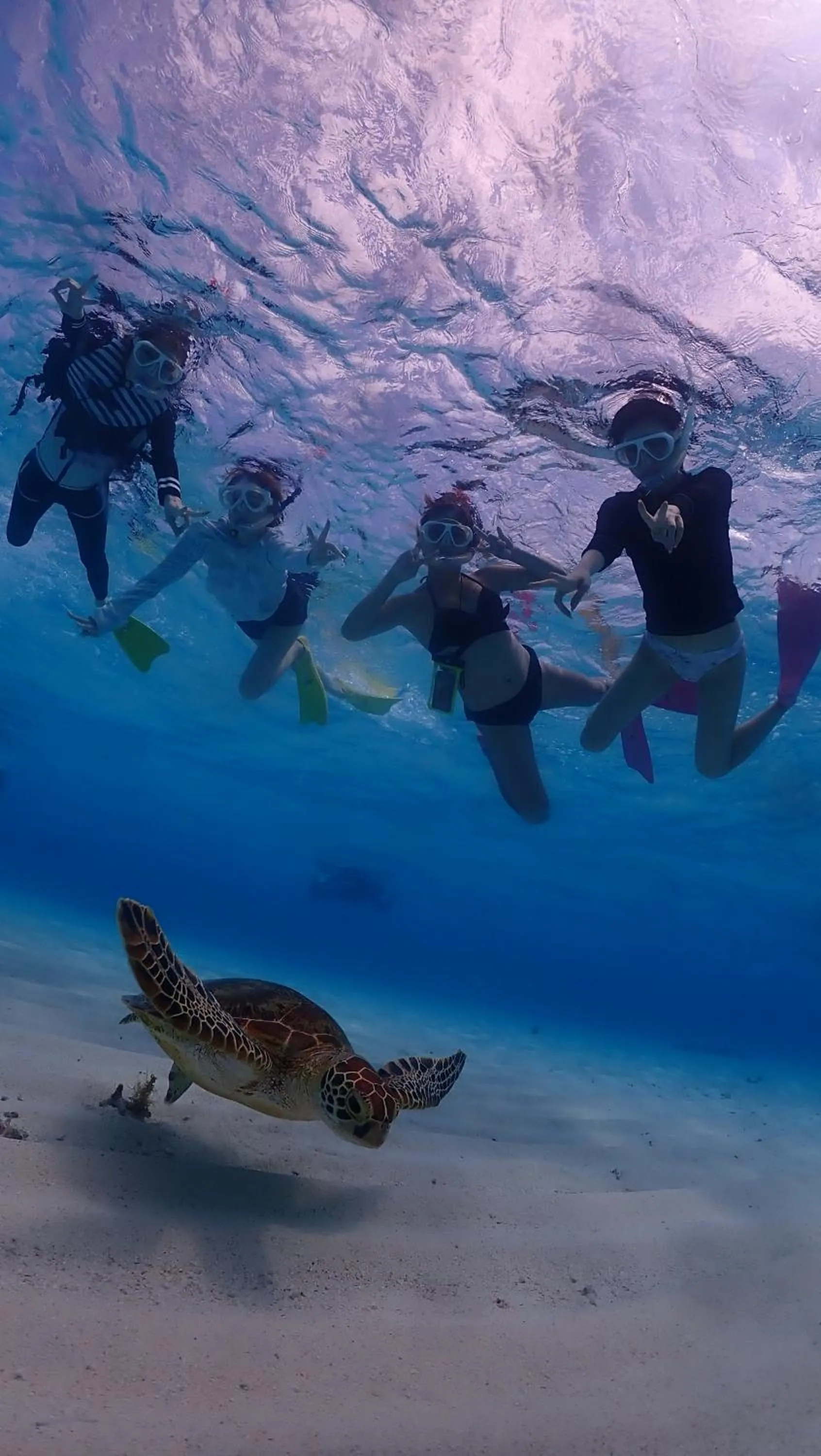 Snorkeling in HOTEL Fit in Miyakojima