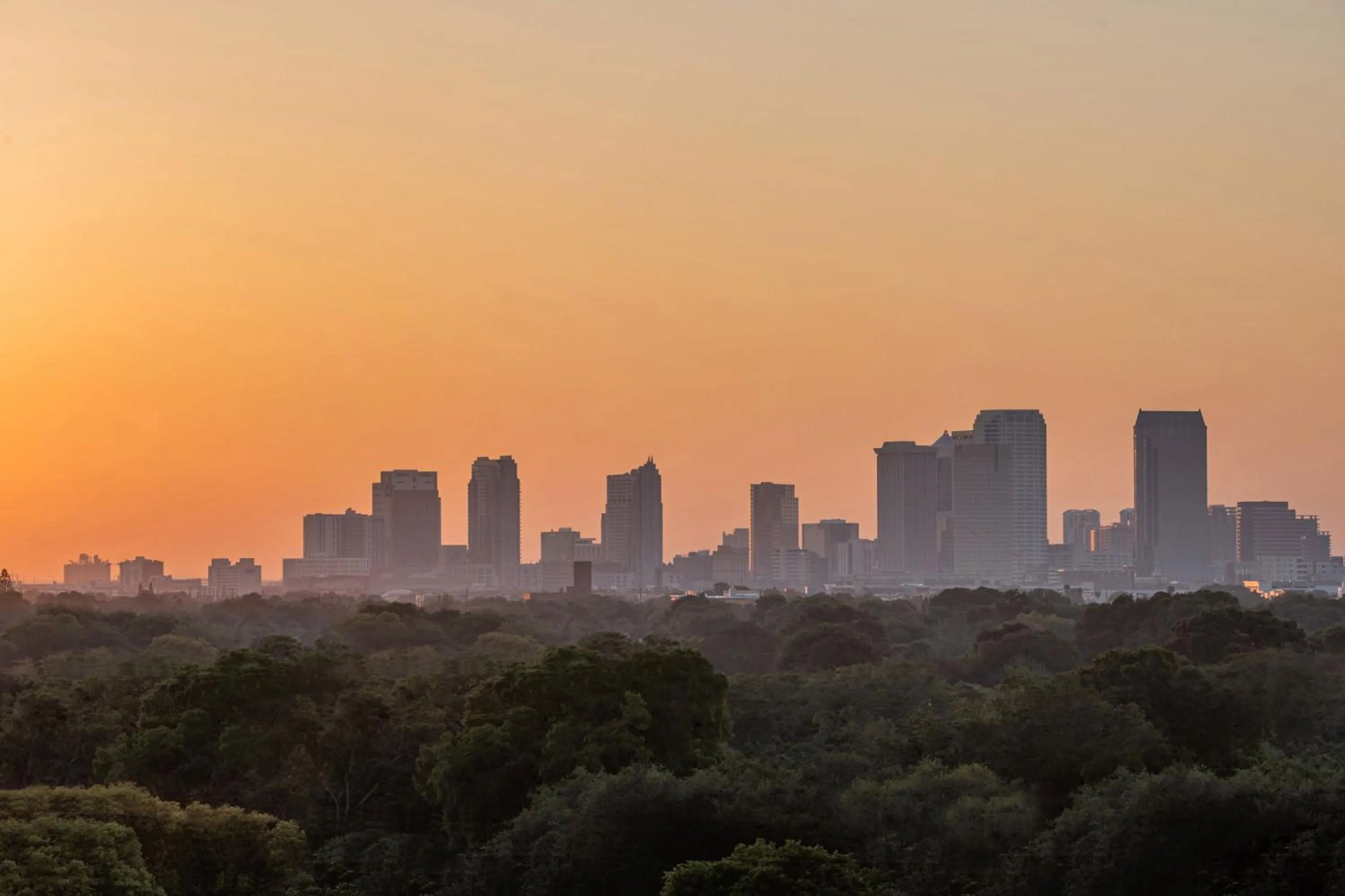 View (from property/room) in Aloft Tampa Midtown