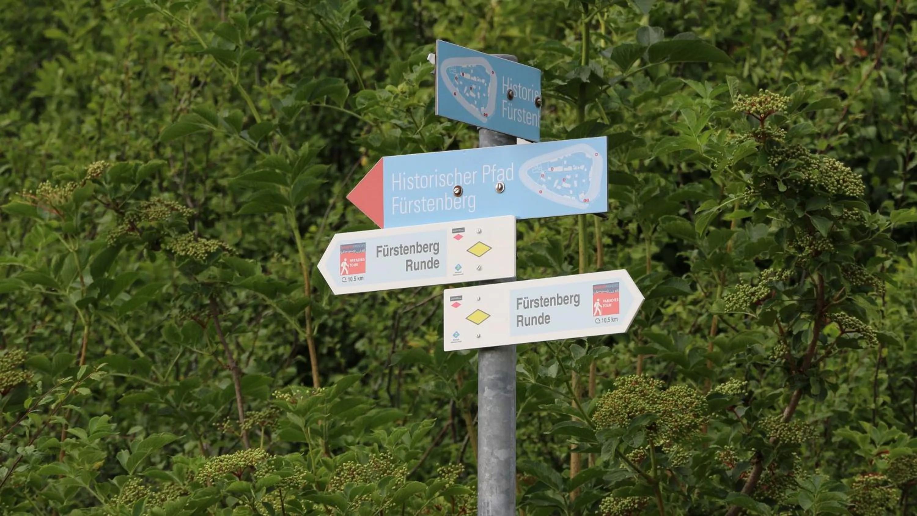 Day in Hotel Rössle