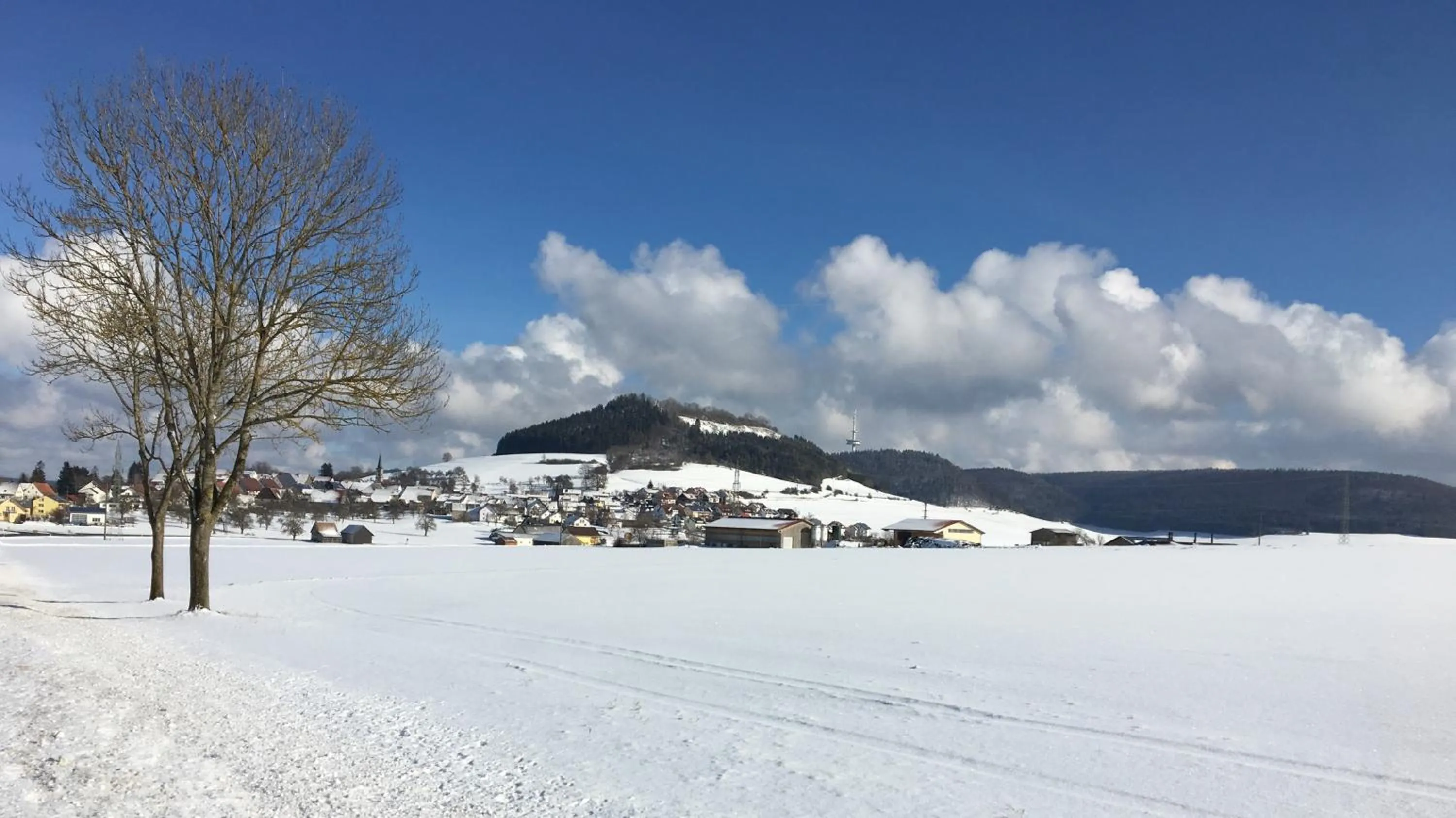 Natural landscape in Hotel Rössle
