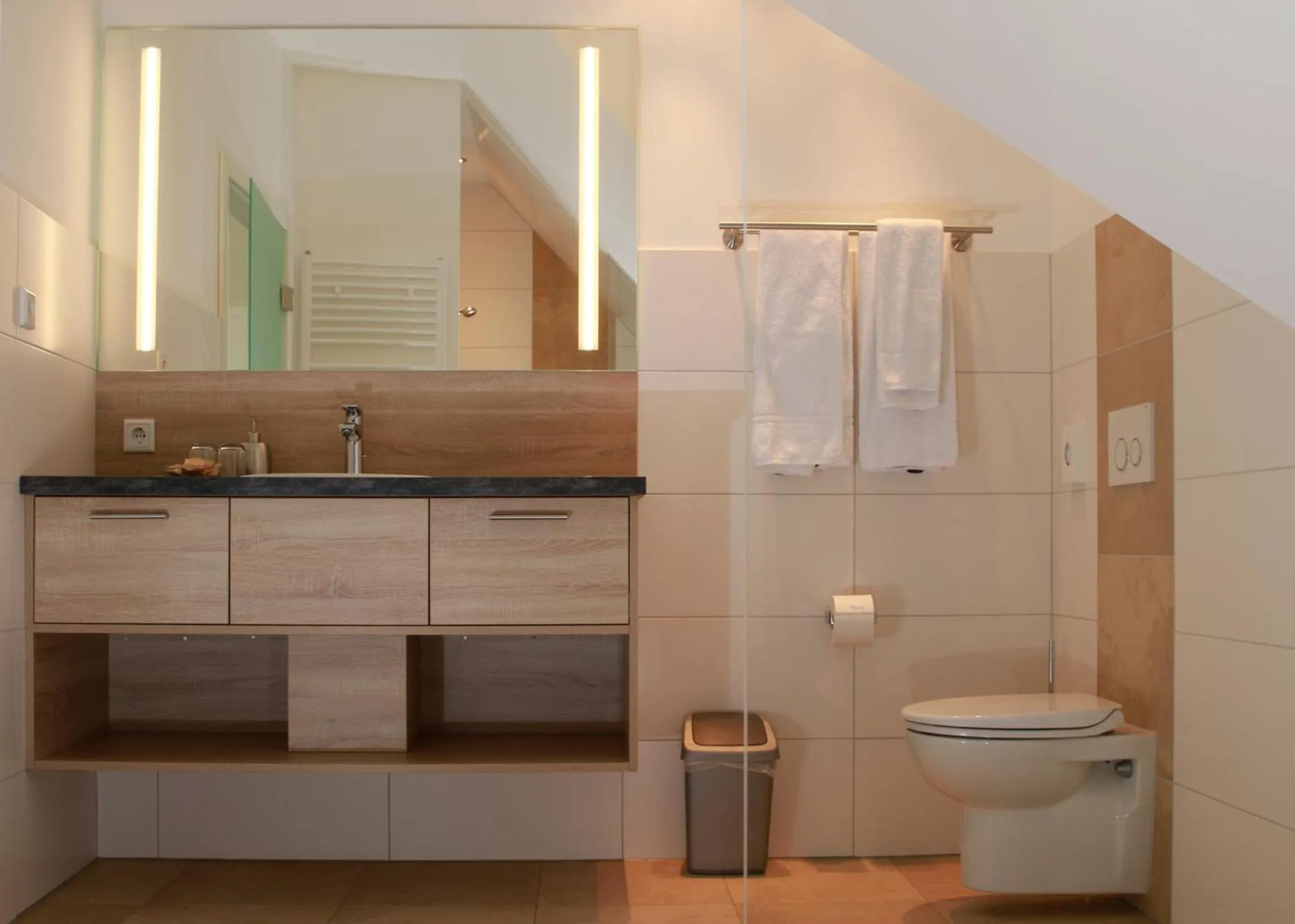 Shower in Hotel Rössle