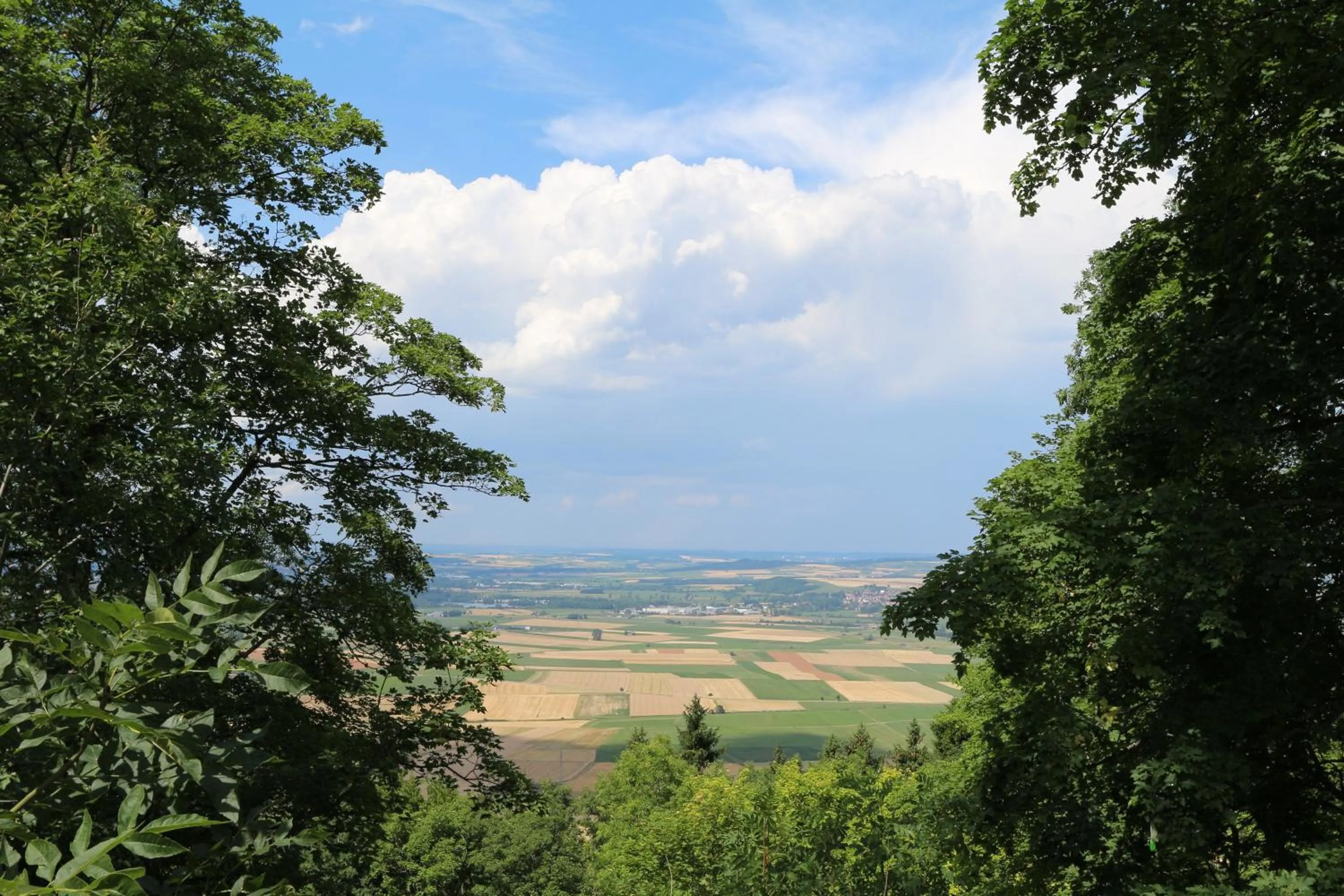 Natural landscape in Hotel Rössle