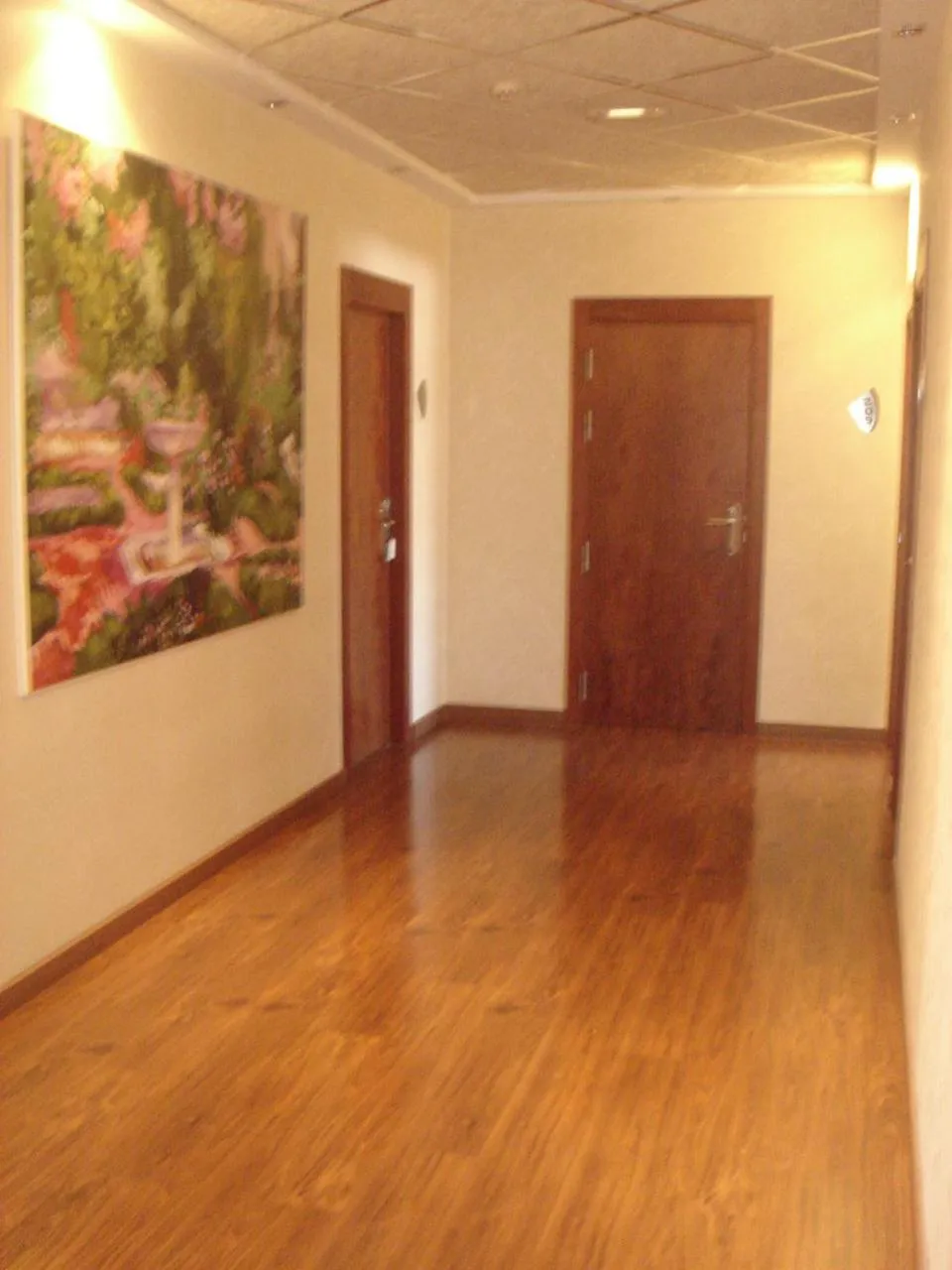 Business facilities in Hotel Lluna