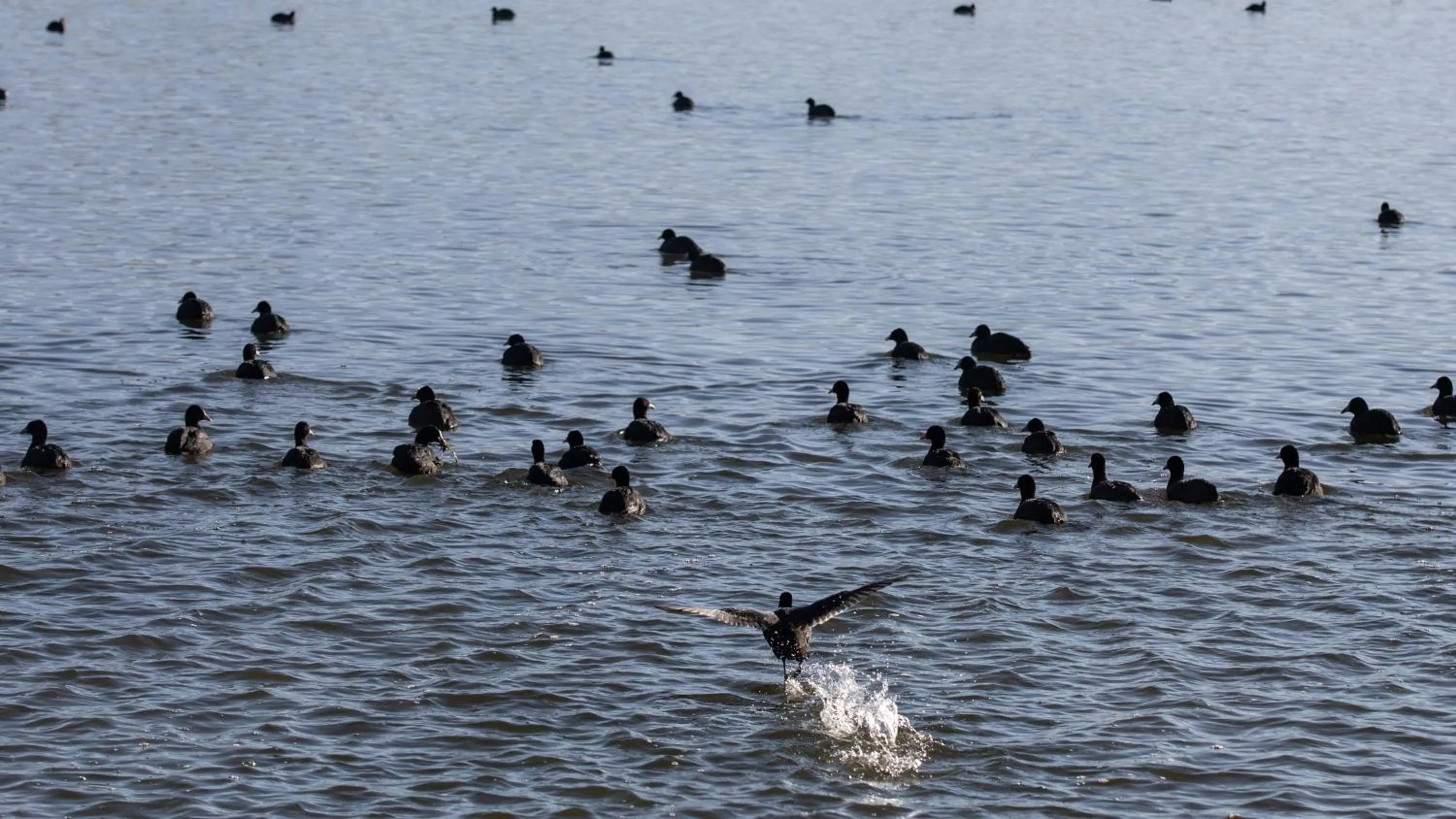 Nearby landmark in Hotel Indigo Diqing Moonlight City by IHG