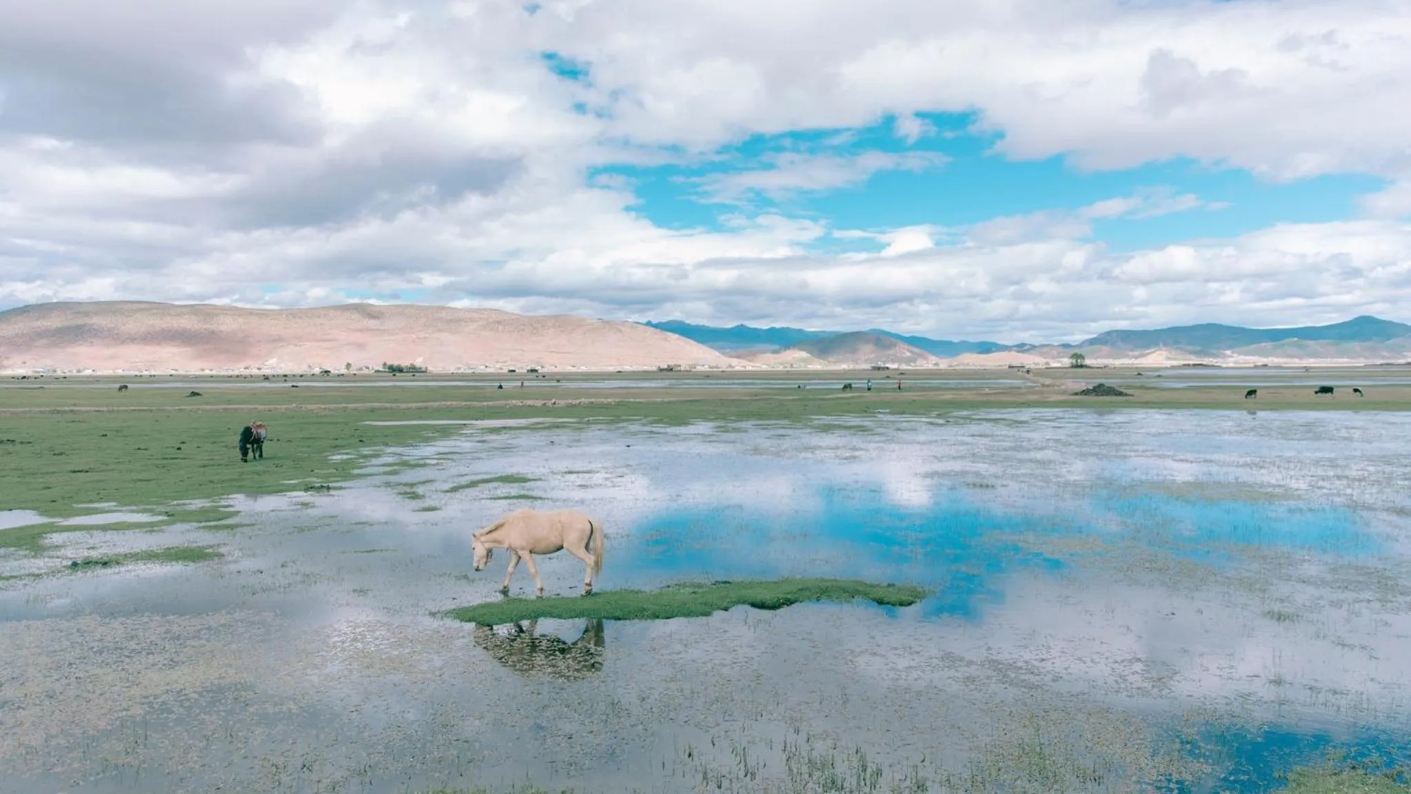 Nearby landmark in Hotel Indigo Diqing Moonlight City by IHG