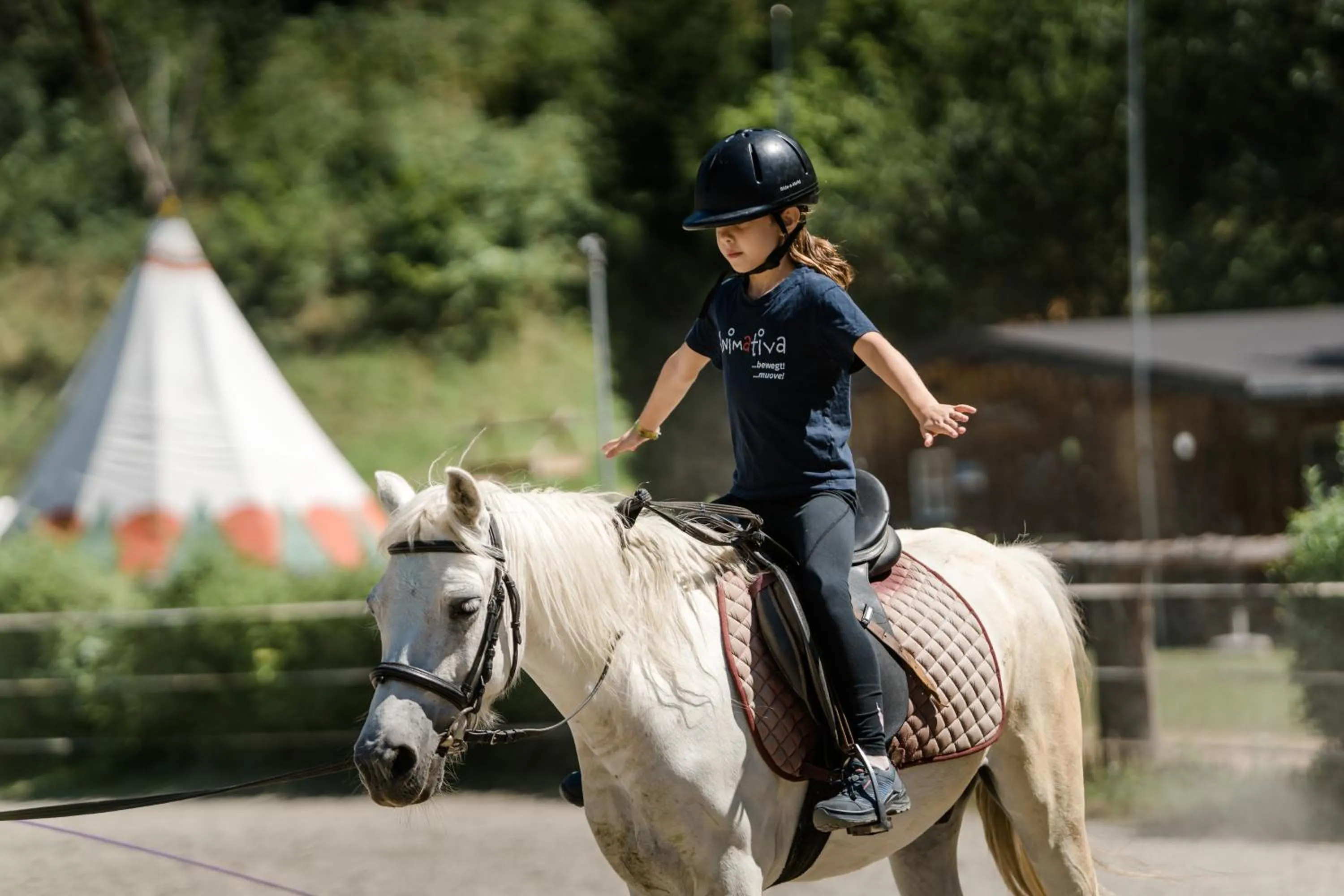 Horse-riding in Apartmenthaus Wiesenhof