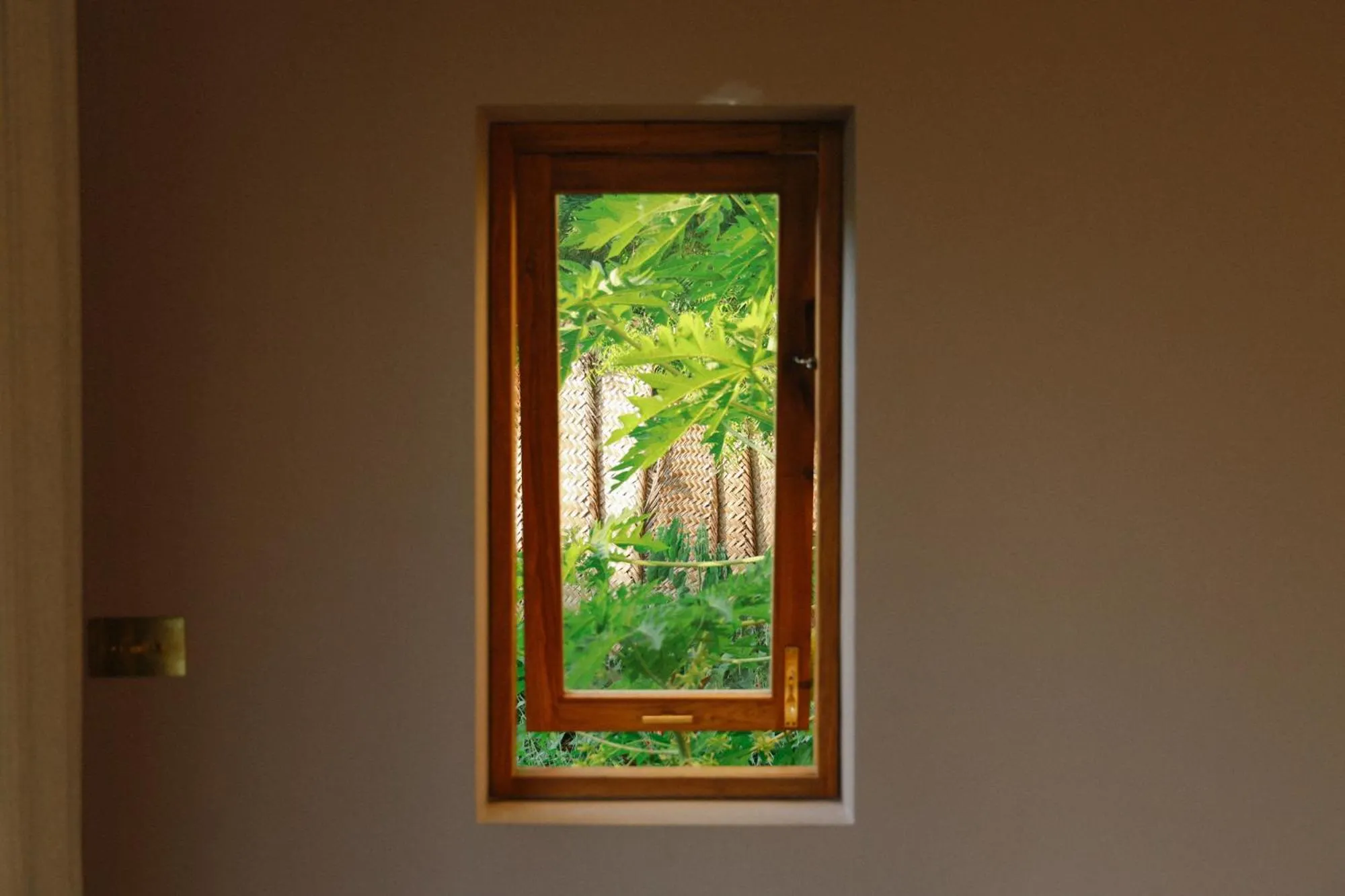 Garden view in Kizikula