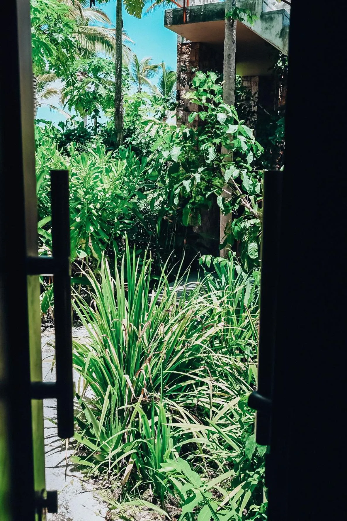 Garden view in Kizikula