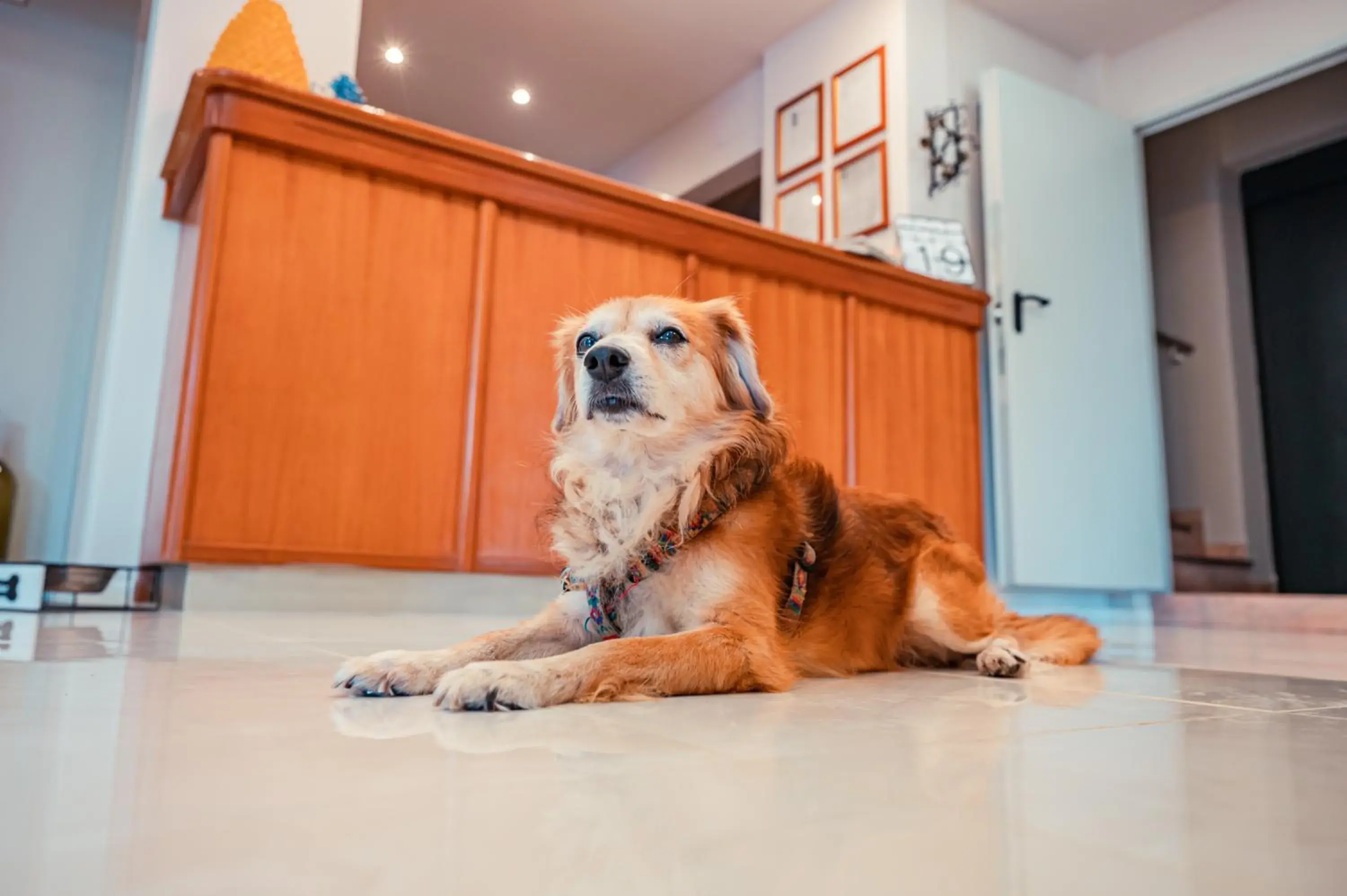 Property building in Hotel Rivage Taormina Property building in Hotel Rivage Taormina