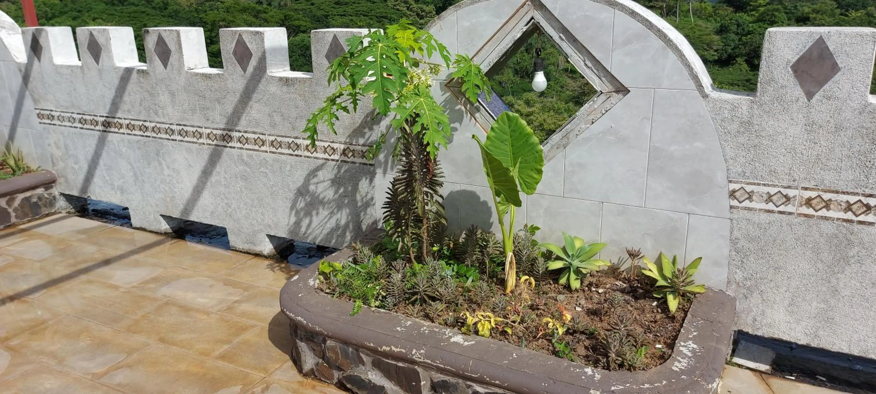 Garden in El Castillo Monte Campana