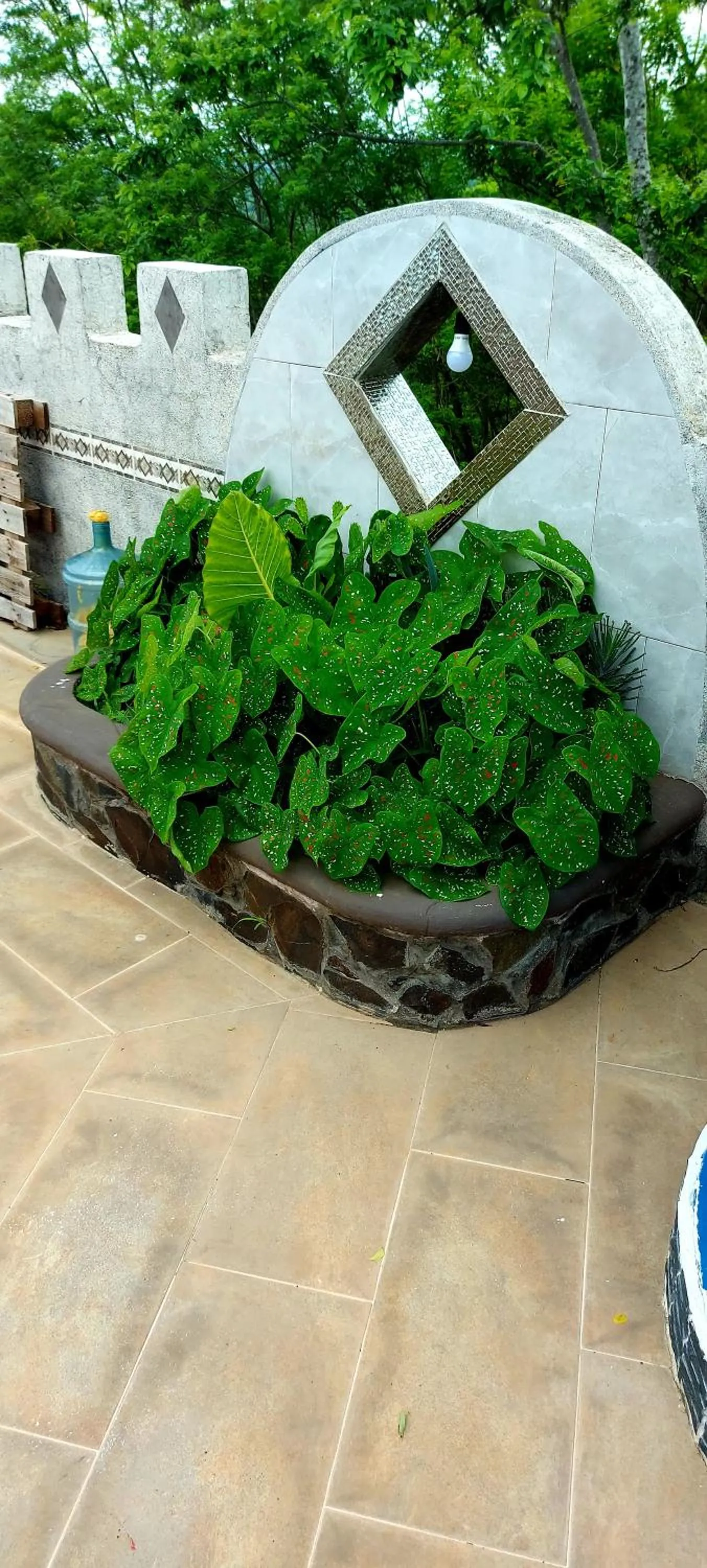Garden in El Castillo Monte Campana
