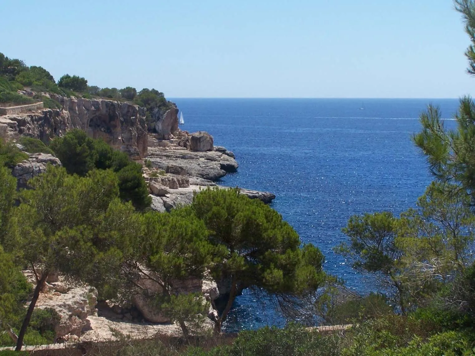 Natural landscape in Chalets Torre Nova