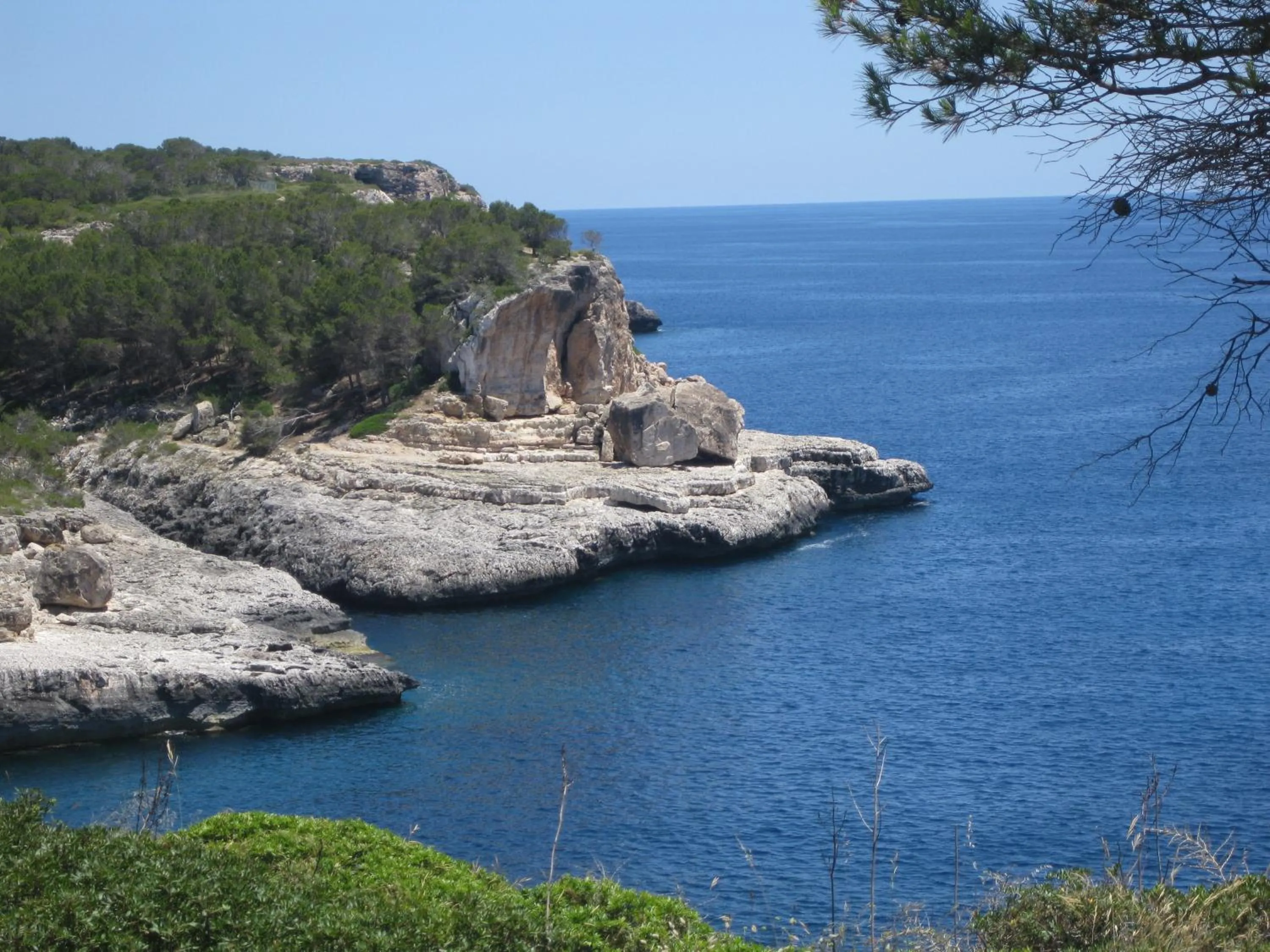 Natural landscape in Chalets Torre Nova