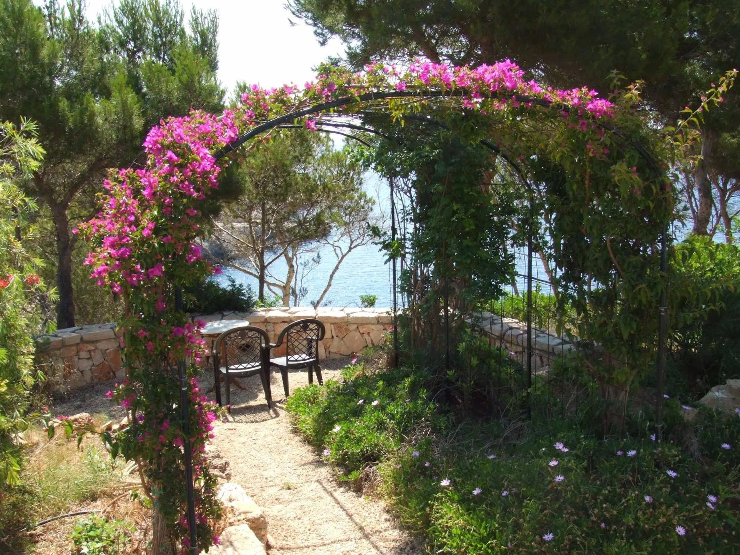 Garden in Chalets Torre Nova