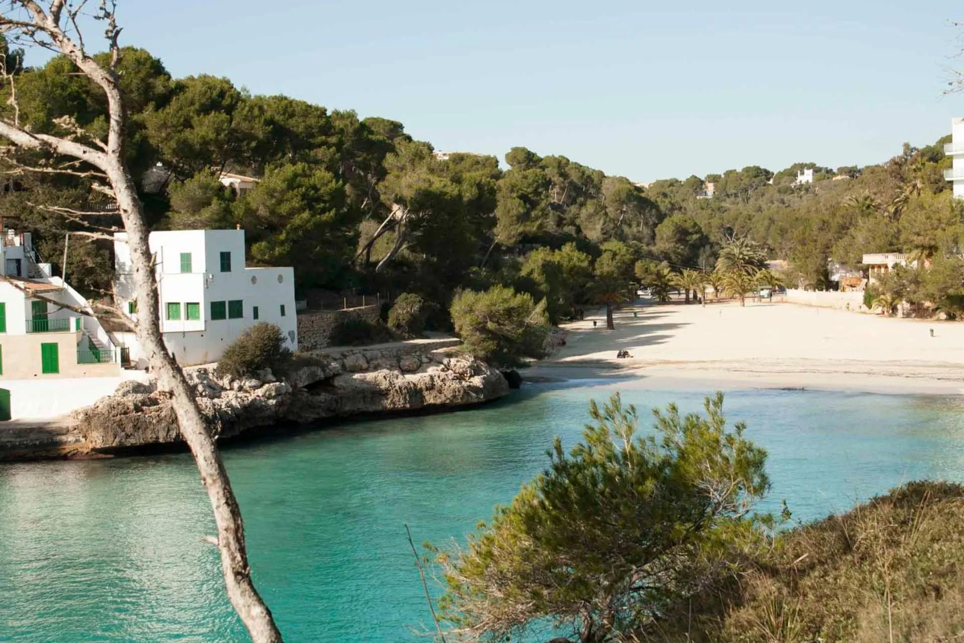 Natural landscape in Chalets Torre Nova