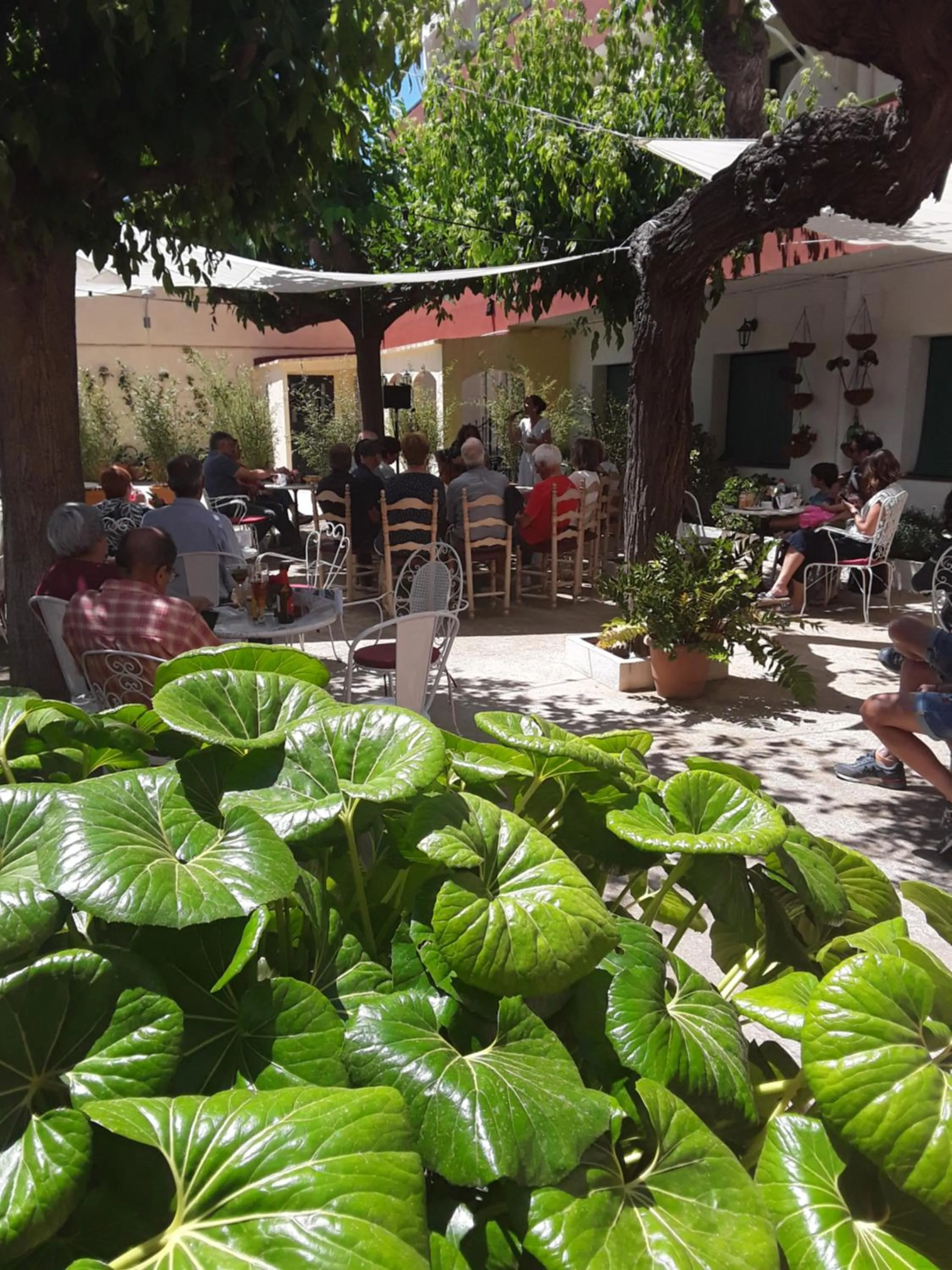 Garden in Hostal Plaja i Pati de Can Plaja