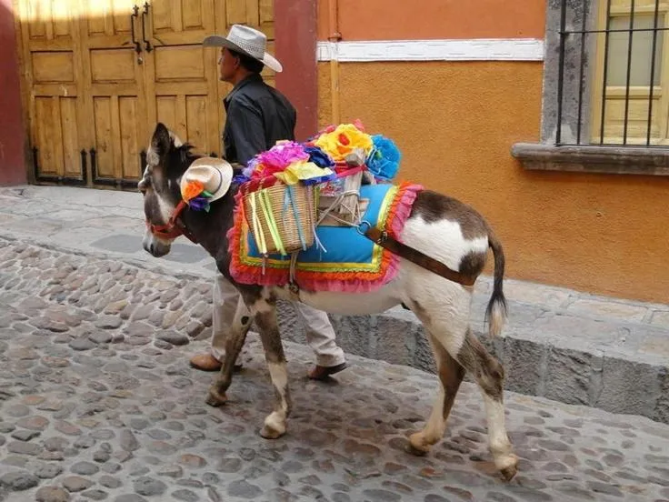 Day in Casa Grande Luxury Boutique Hotel