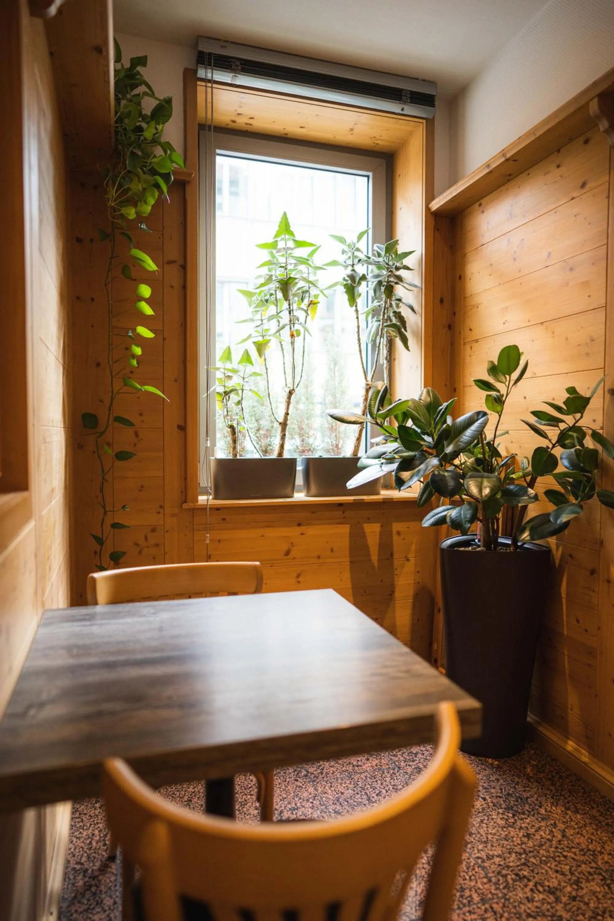 Lobby or reception in Pension am Heusteig