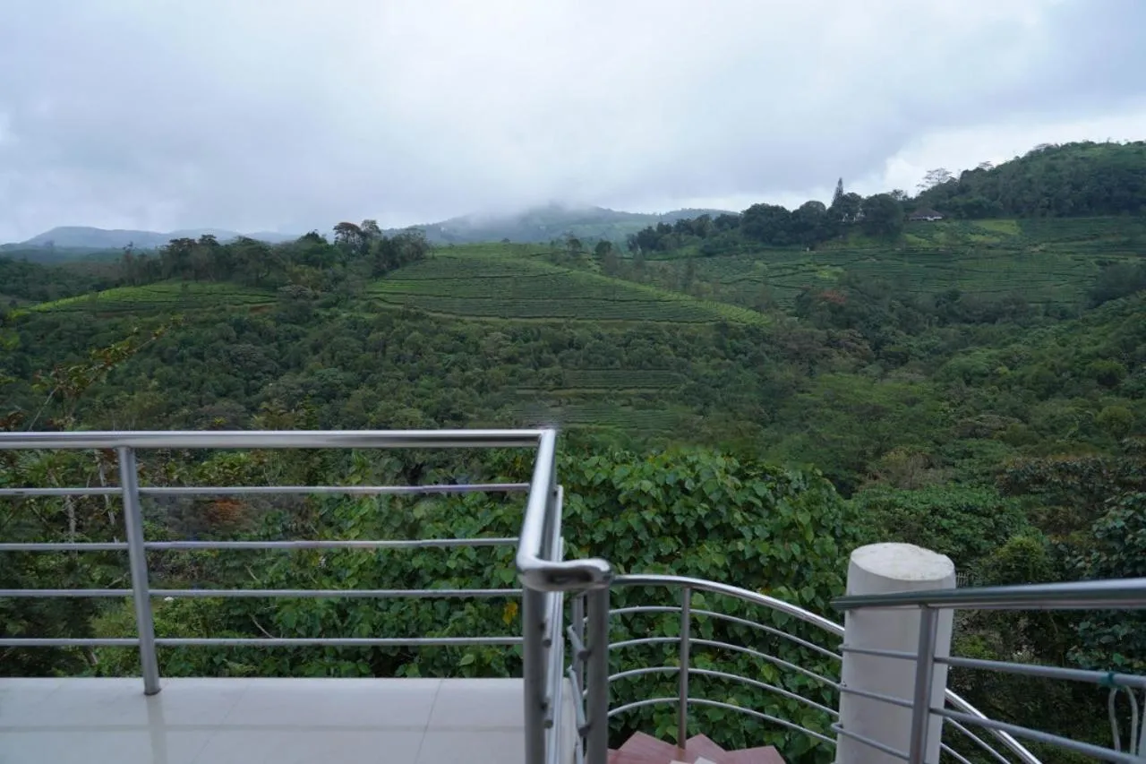 Vagamon Tea County