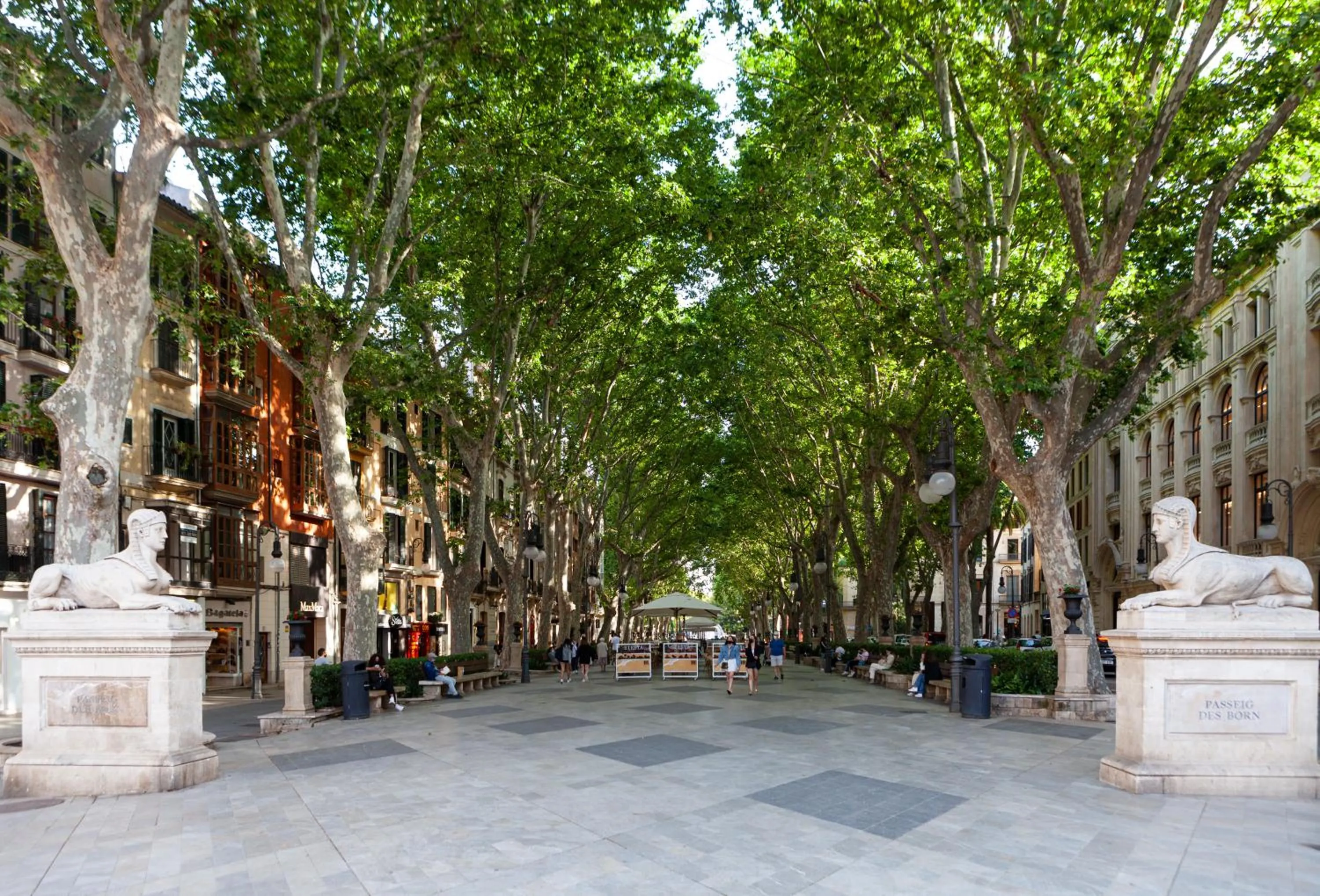 Neighbourhood in Nivia Born Boutique Hotel