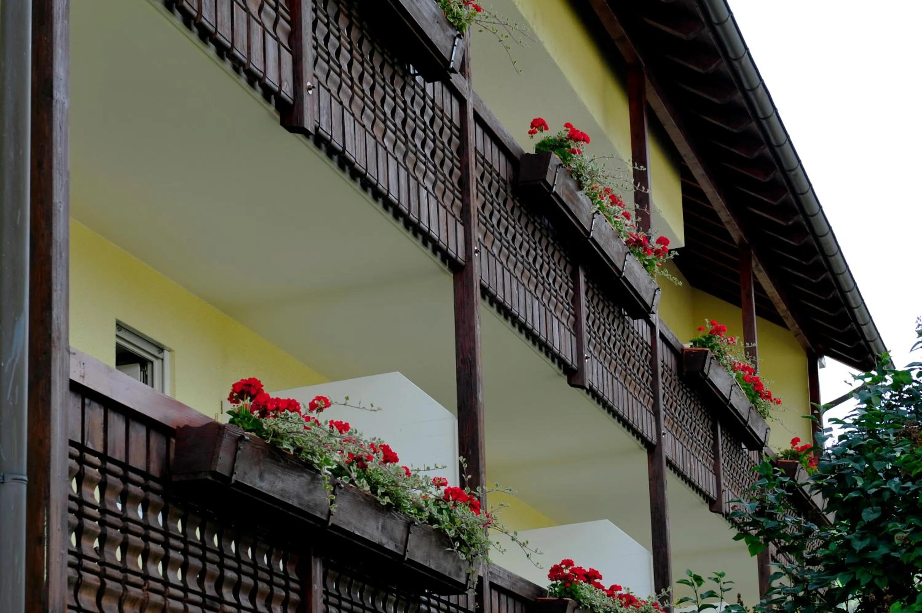 Facade/entrance in Hotel Tannenhof