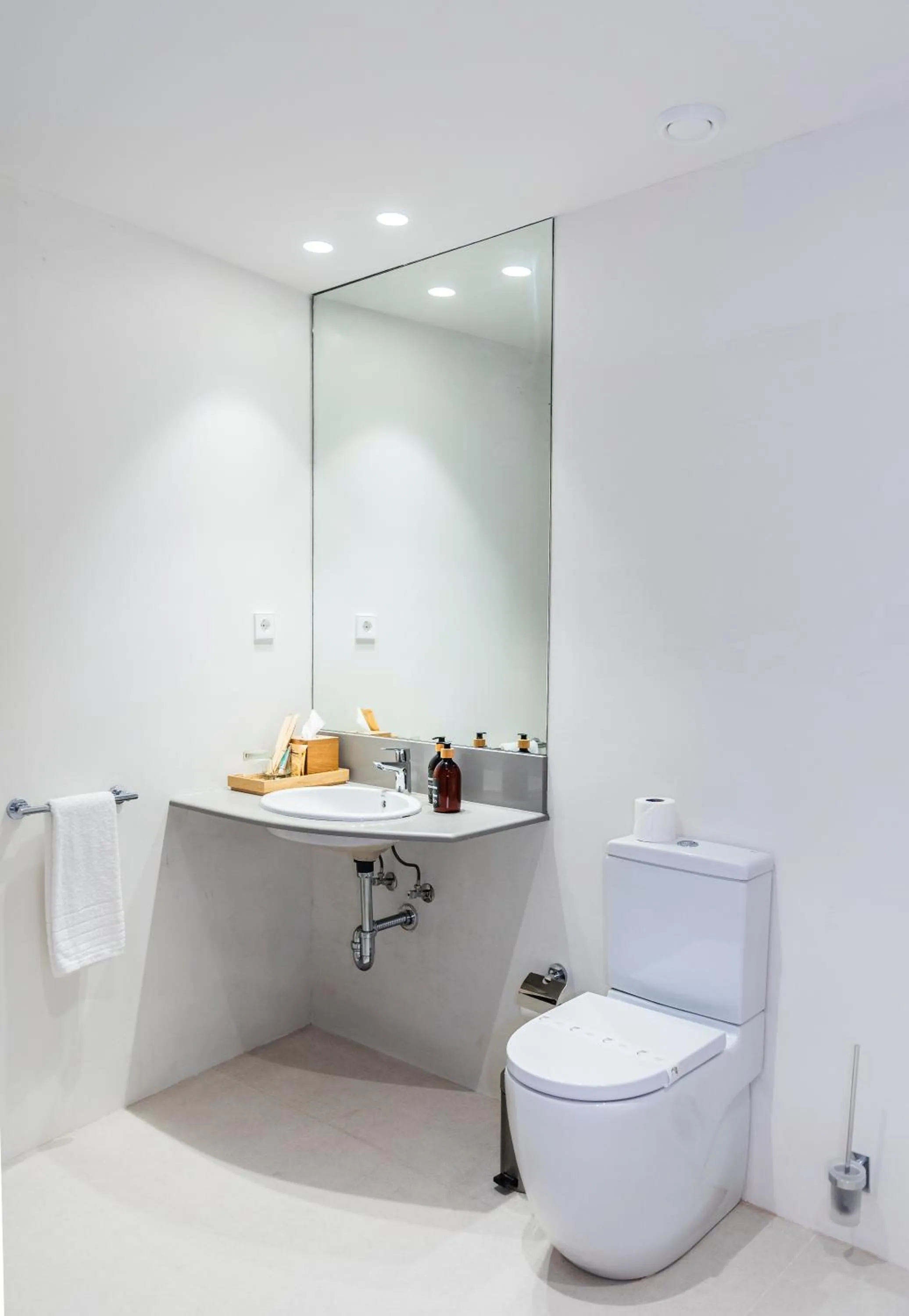 Toilet in Hotel California