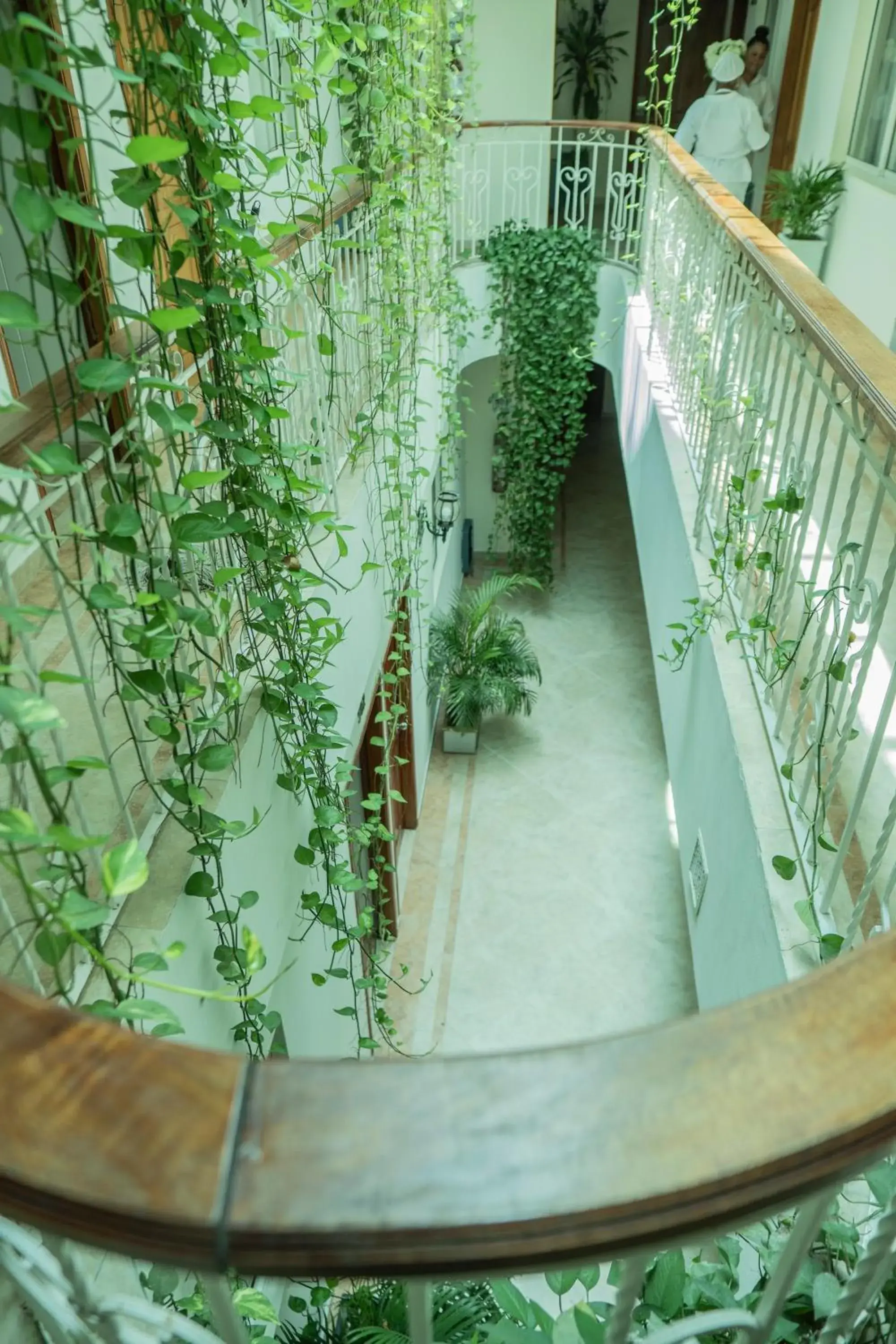 Inner courtyard view in Hotel Marie Real Cartagena Inner courtyard view in Hotel Marie Real Cartagena