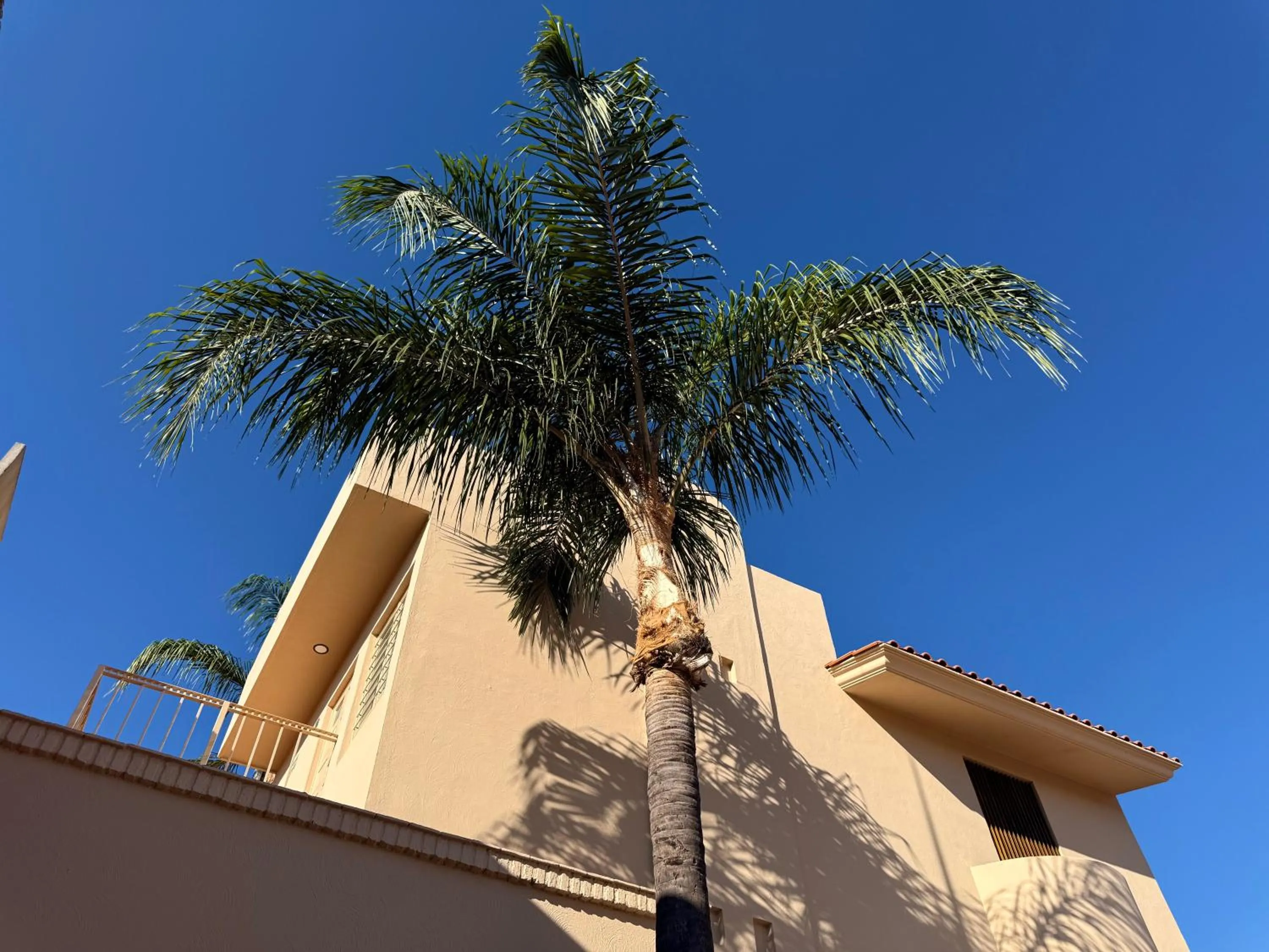 Villa La Palma Hotel