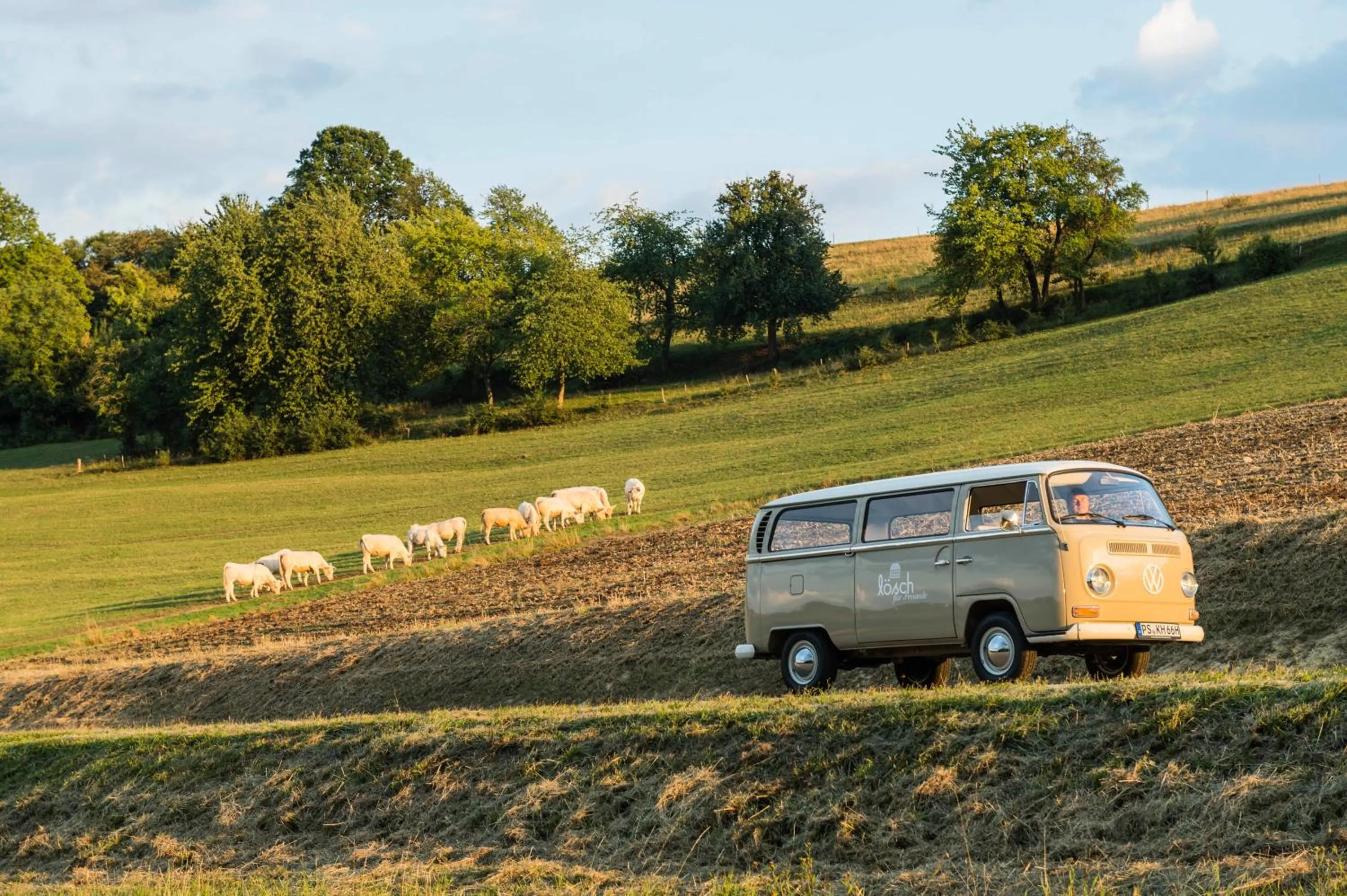 Activities in Kloster Hornbach