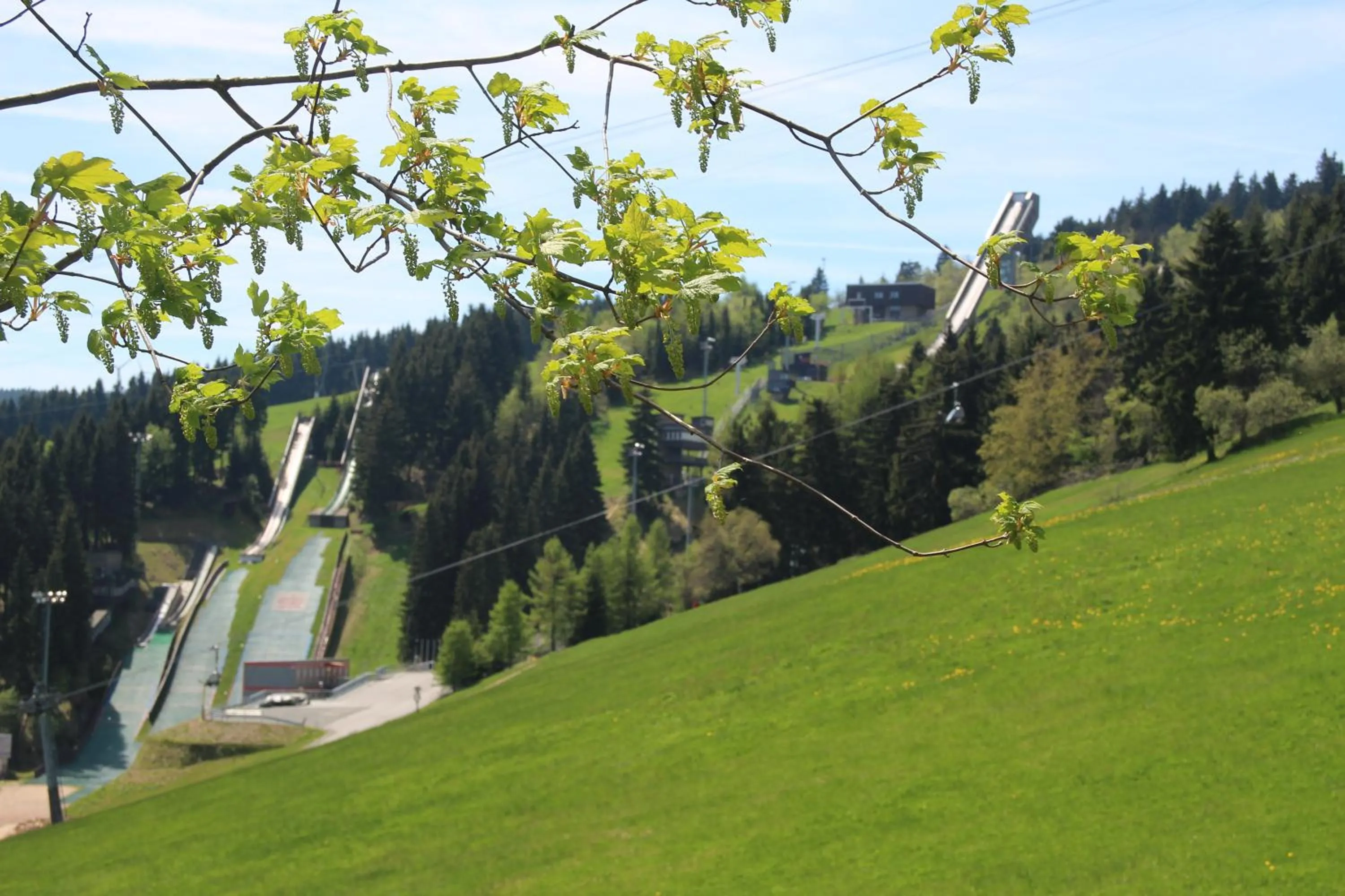 Mountain view in Apartment Fudel
