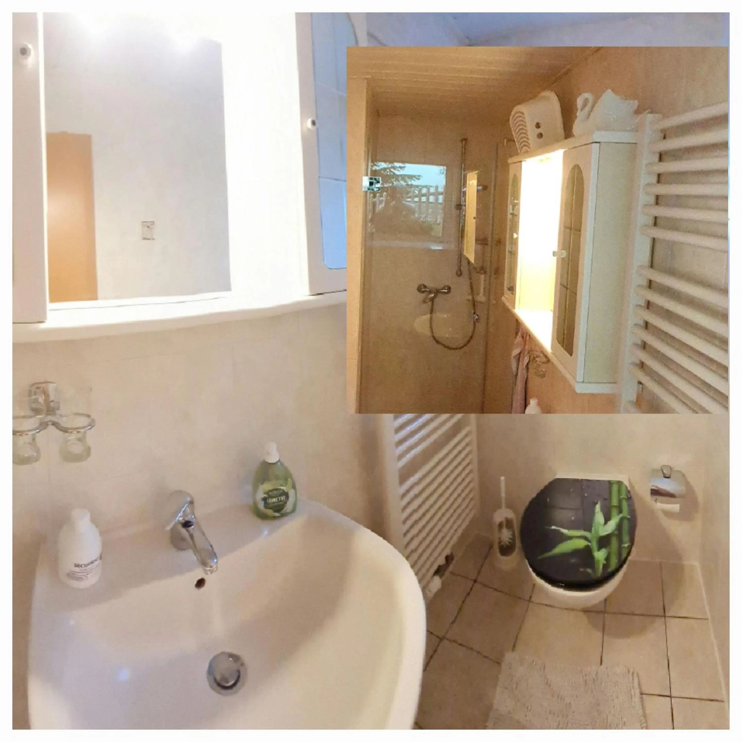 Shower in Apartment Fudel
