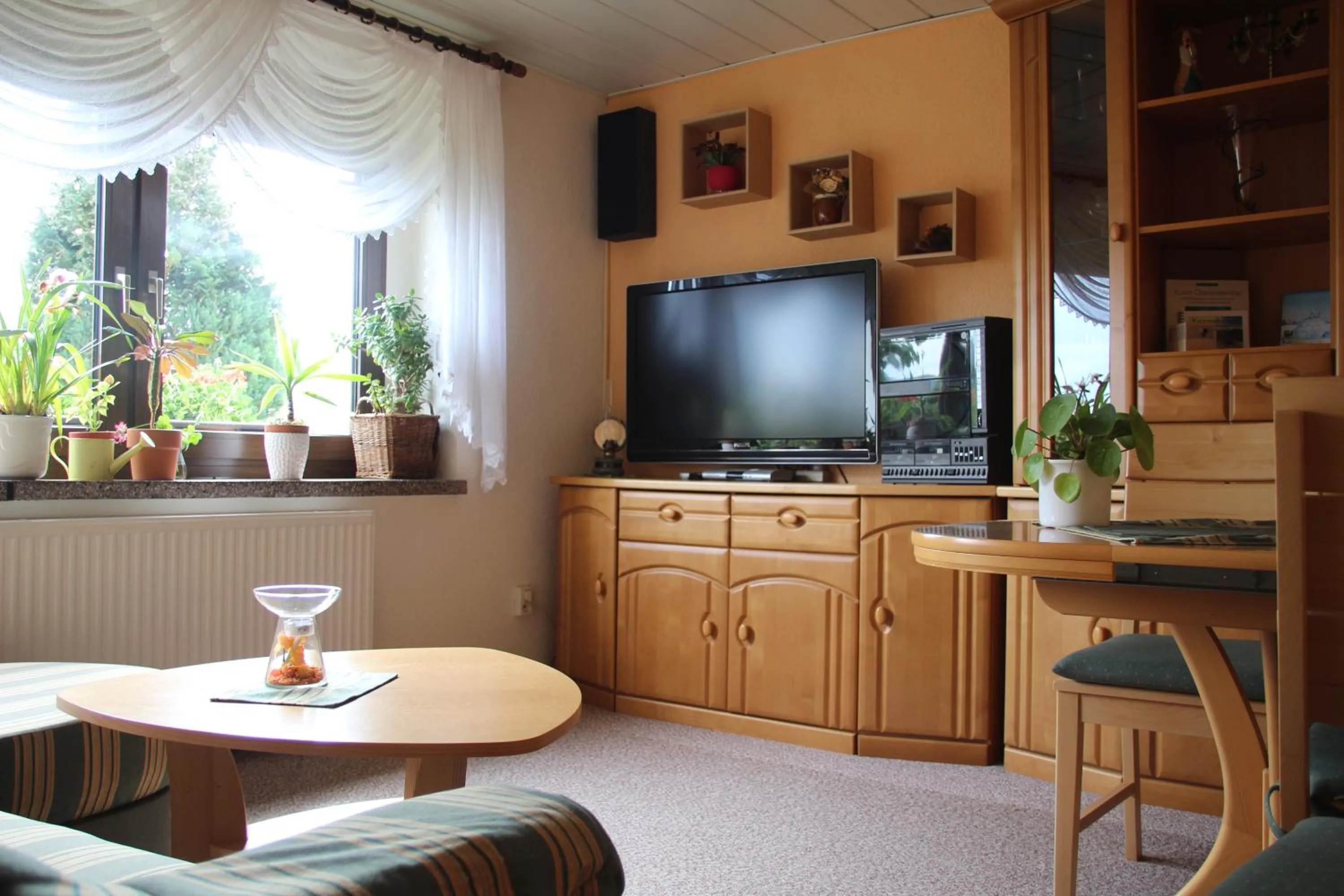 Living room in Apartment Fudel