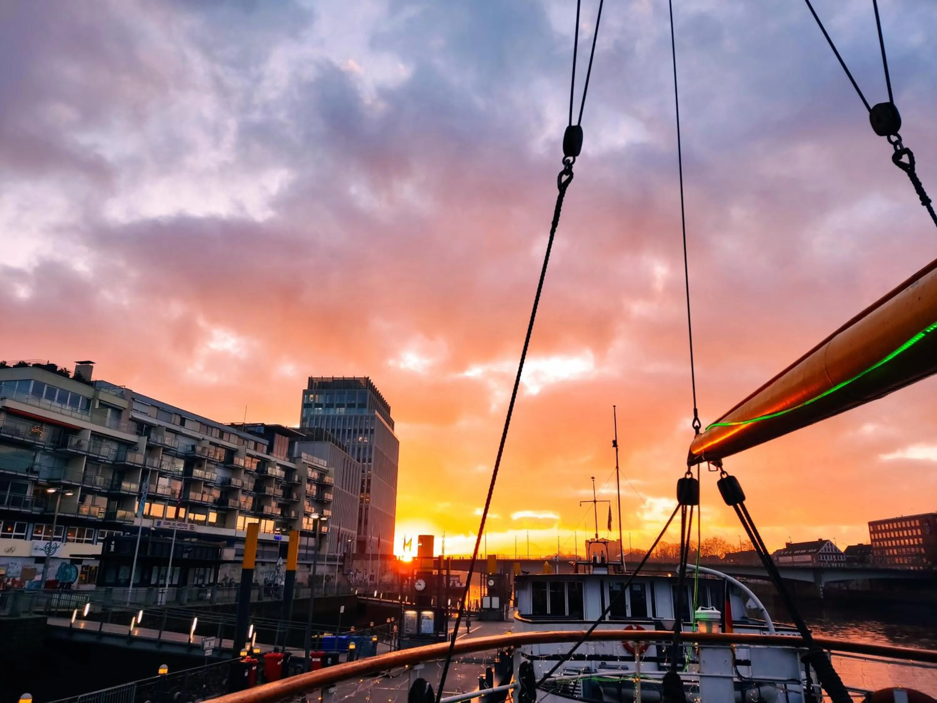 View (from property/room) in Alexander von Humboldt - Das Schiff