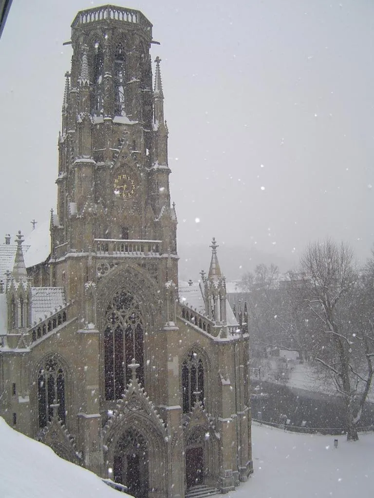Area and facilities in Hotel am Feuersee
