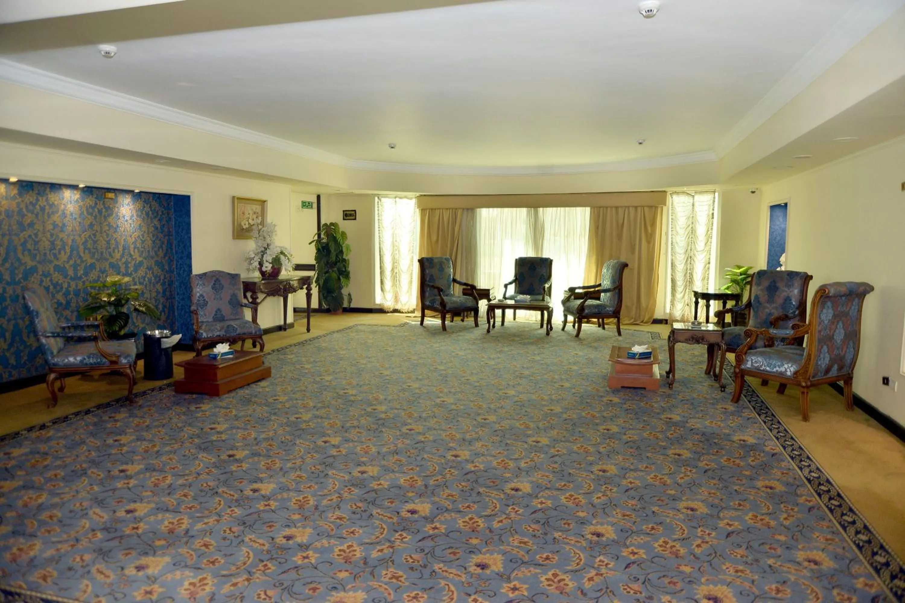 Paradise Home City Stars