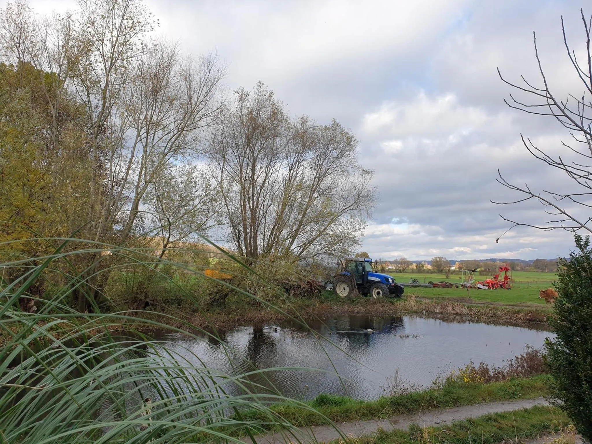 Natural landscape in B&B La ferme du Château de Broich
