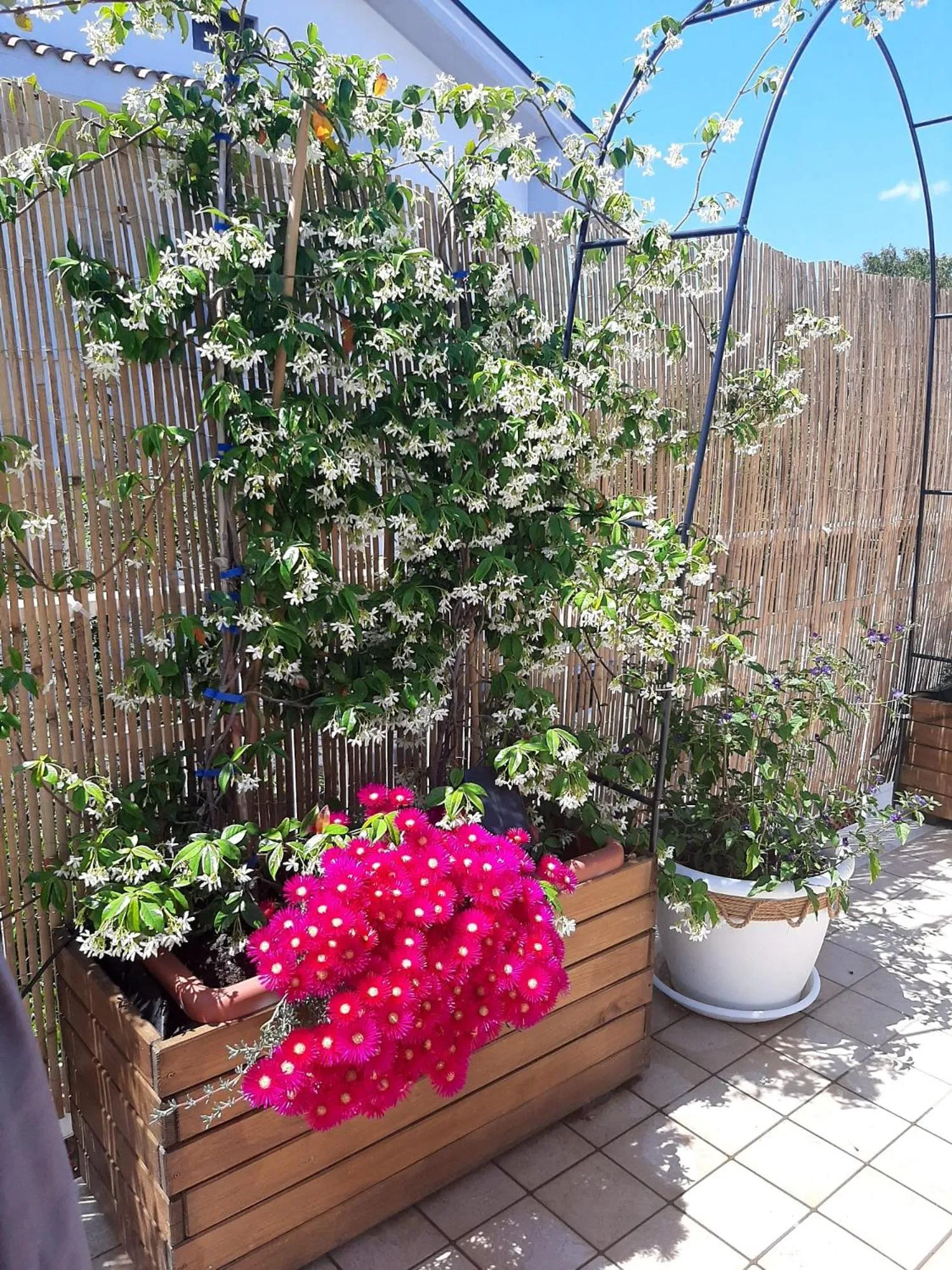 Garden in B&B SMARTFIT HOUSE - Room & Relax in Pescara