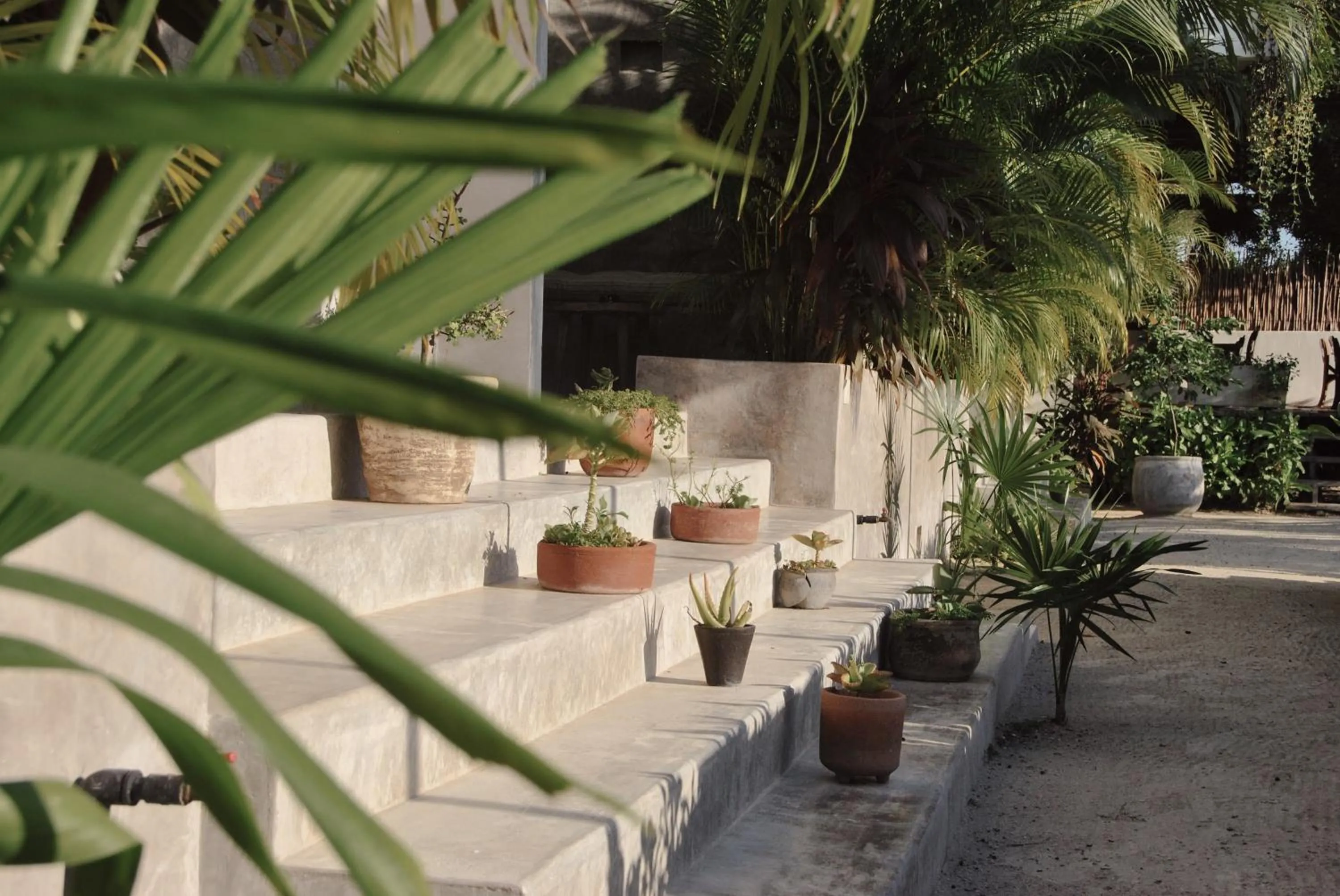 Garden in Boutique Hotel EL NIDO Holbox